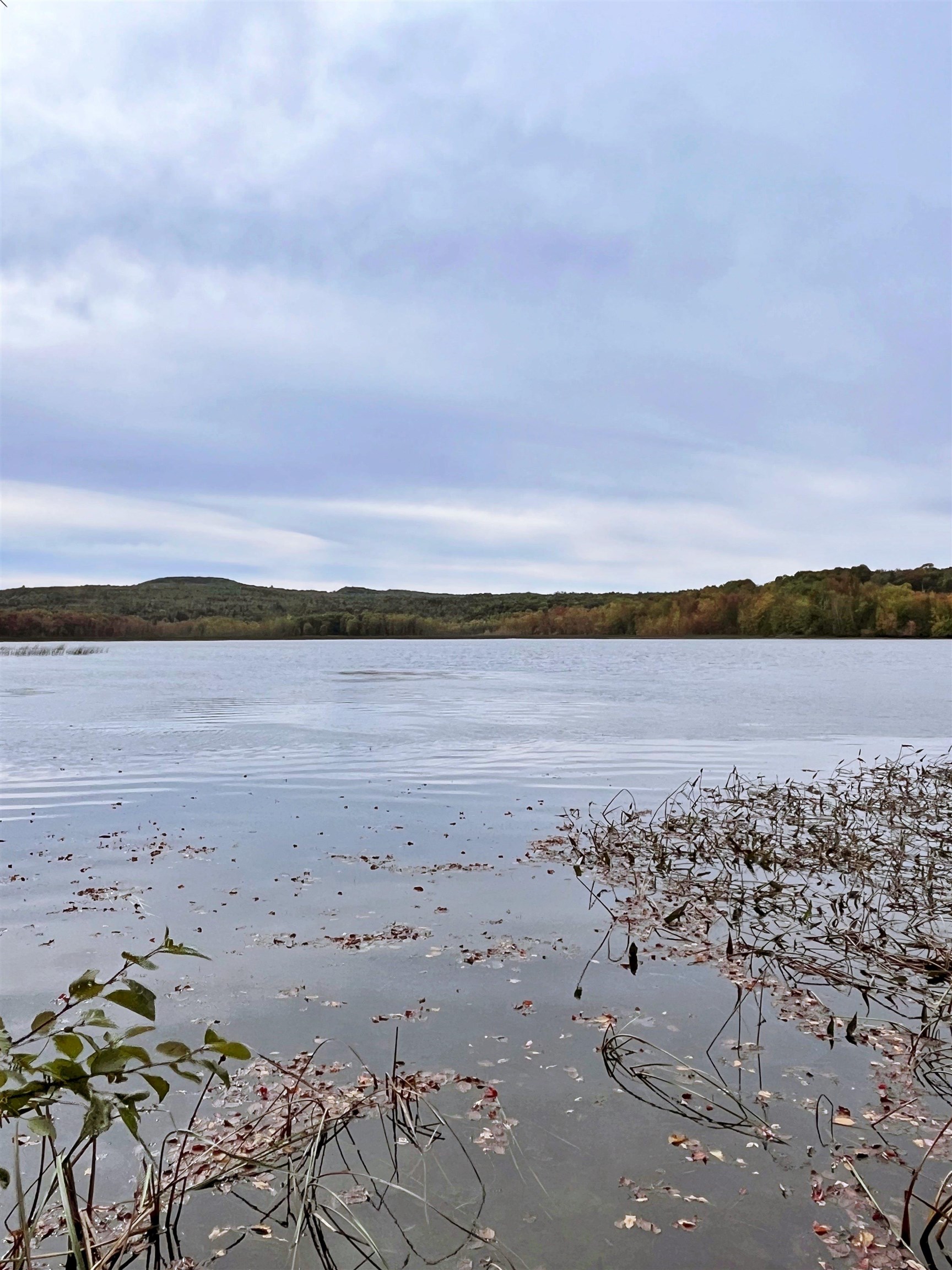 580 Hayward Road Lot 8