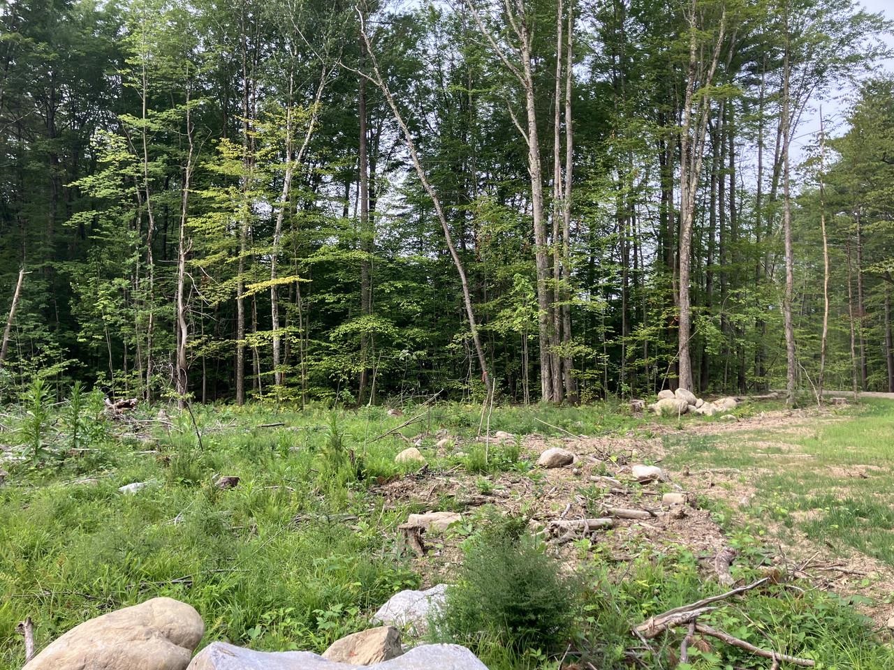 Lot 9 Fern Lake Road