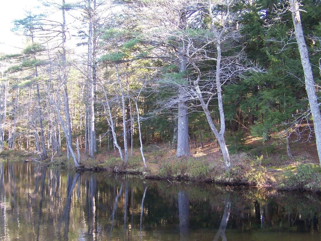 Photo of 00 Scott Pond Road, Fitzwilliam, NH 03447 (MLS # 5022610)