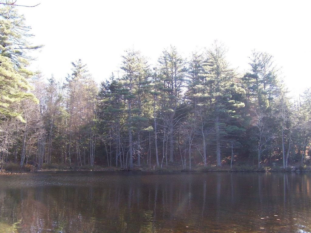 Photo of 00 Scott Pond Road, Fitzwilliam, NH 03447 (MLS # 5022610)