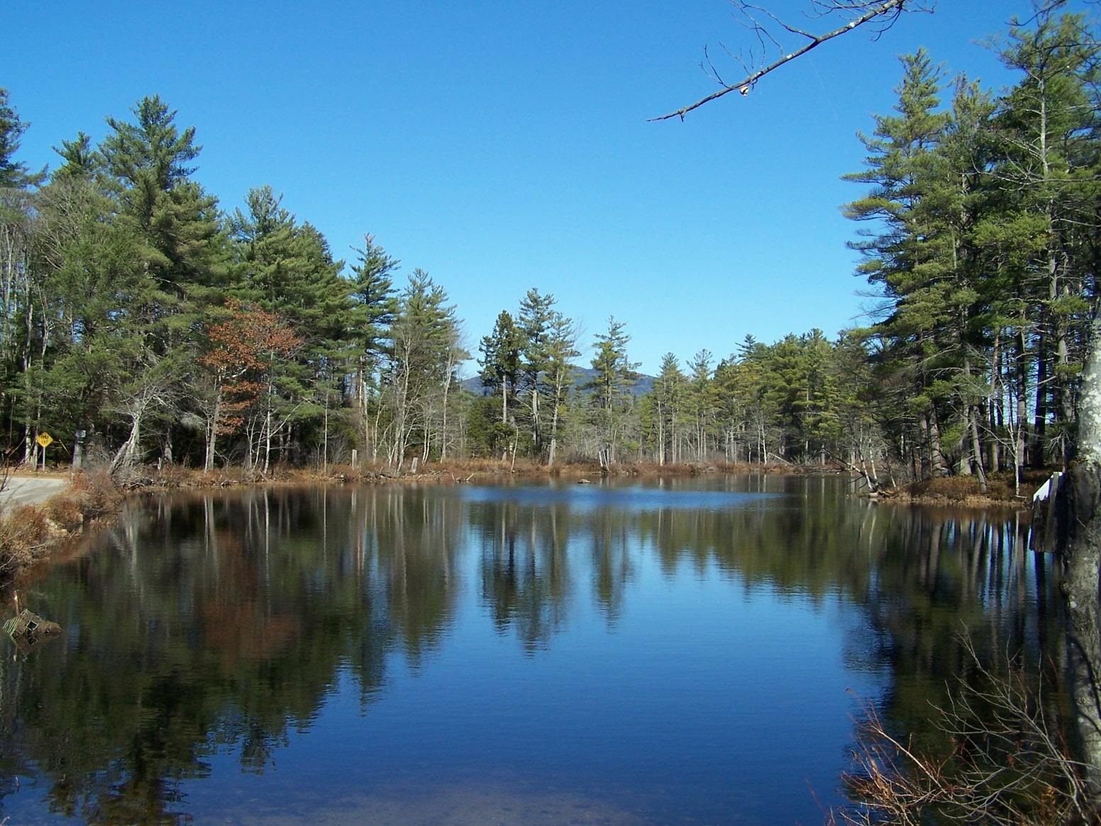 00 Scott Pond Road