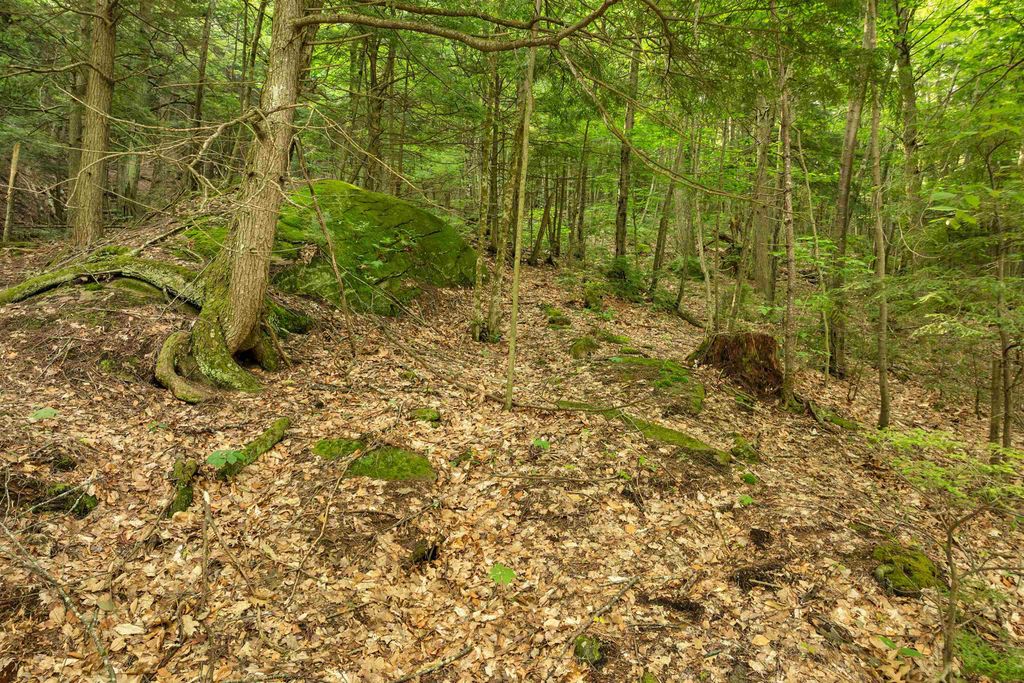 Photo of 0 Interlaken Drive #55, New Durham, NH 03855 (MLS # 5053033)
