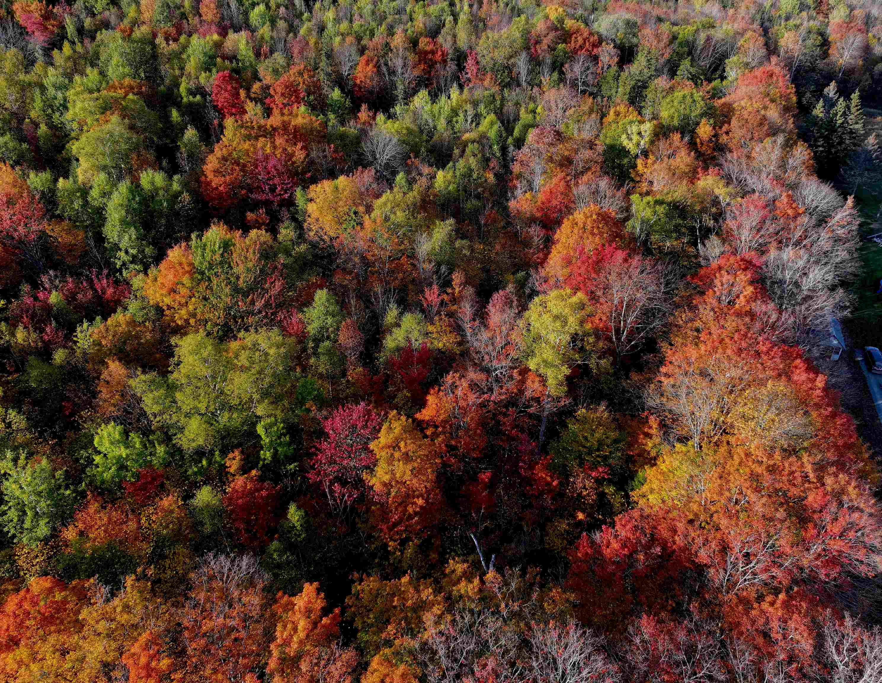 Lot 3 Ide Mountain Drive