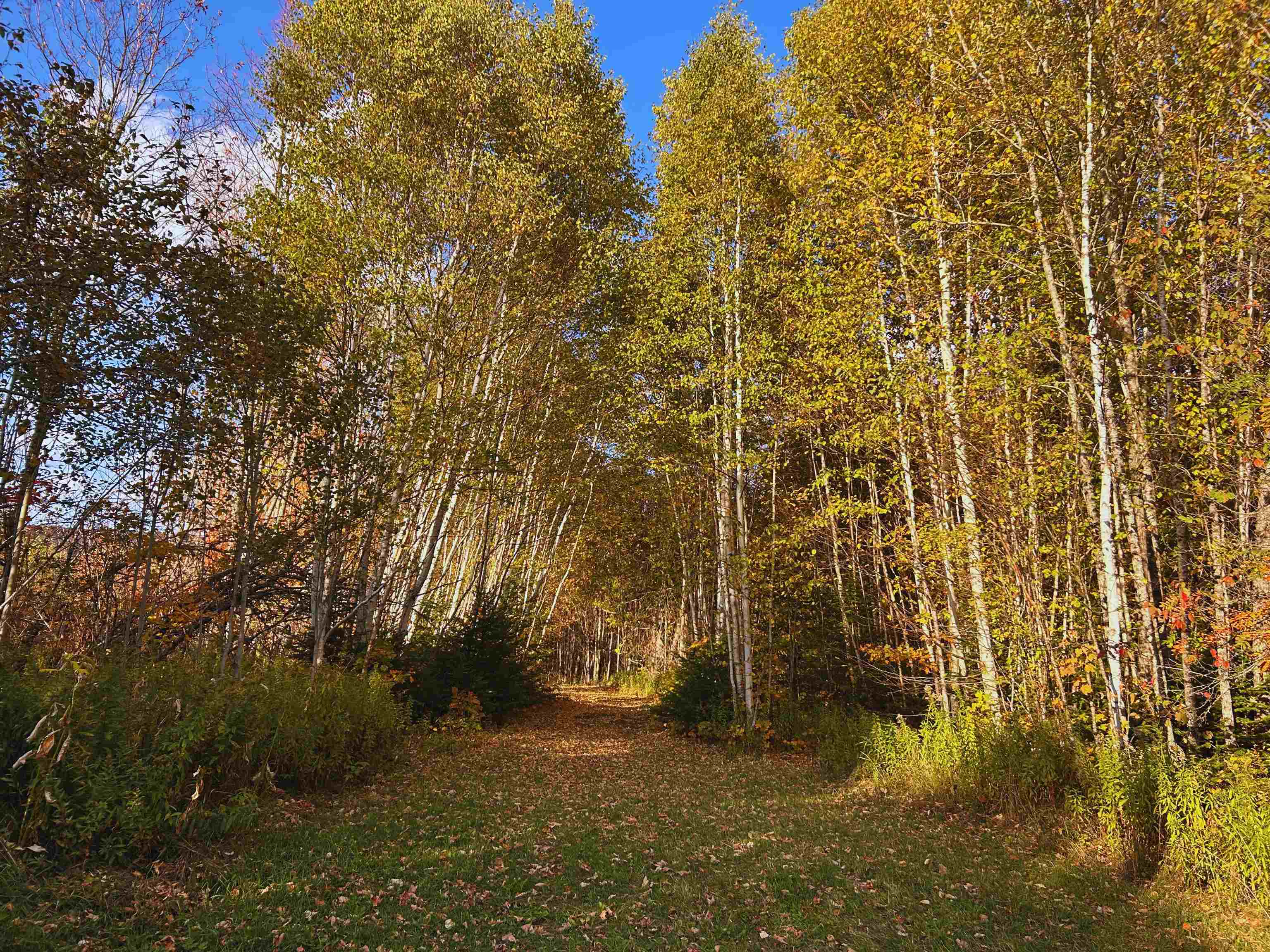 Lot 3 Ide Mountain Drive