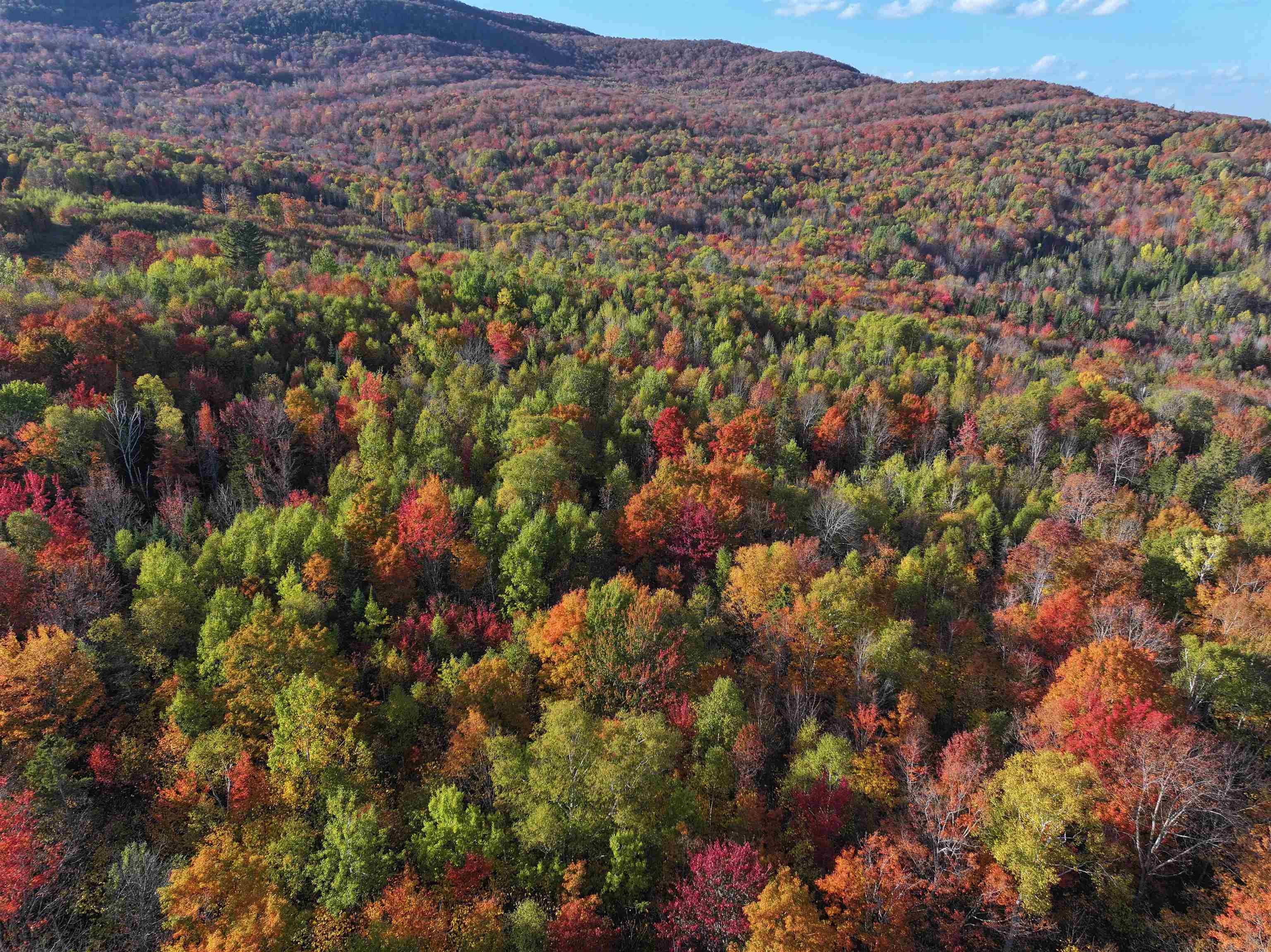 Lot 3 Ide Mountain Drive