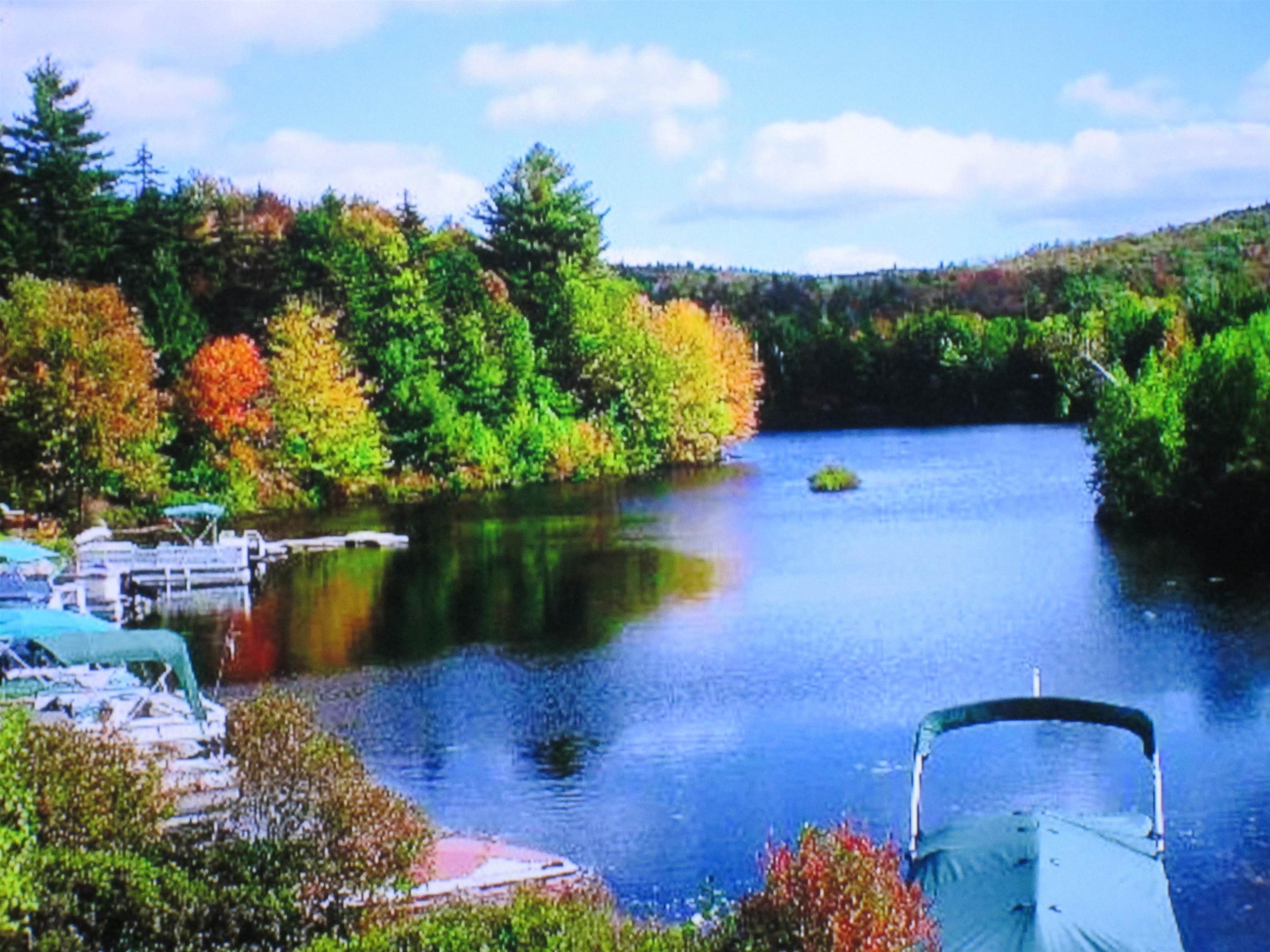 107-11.1 Wood Lot Lane