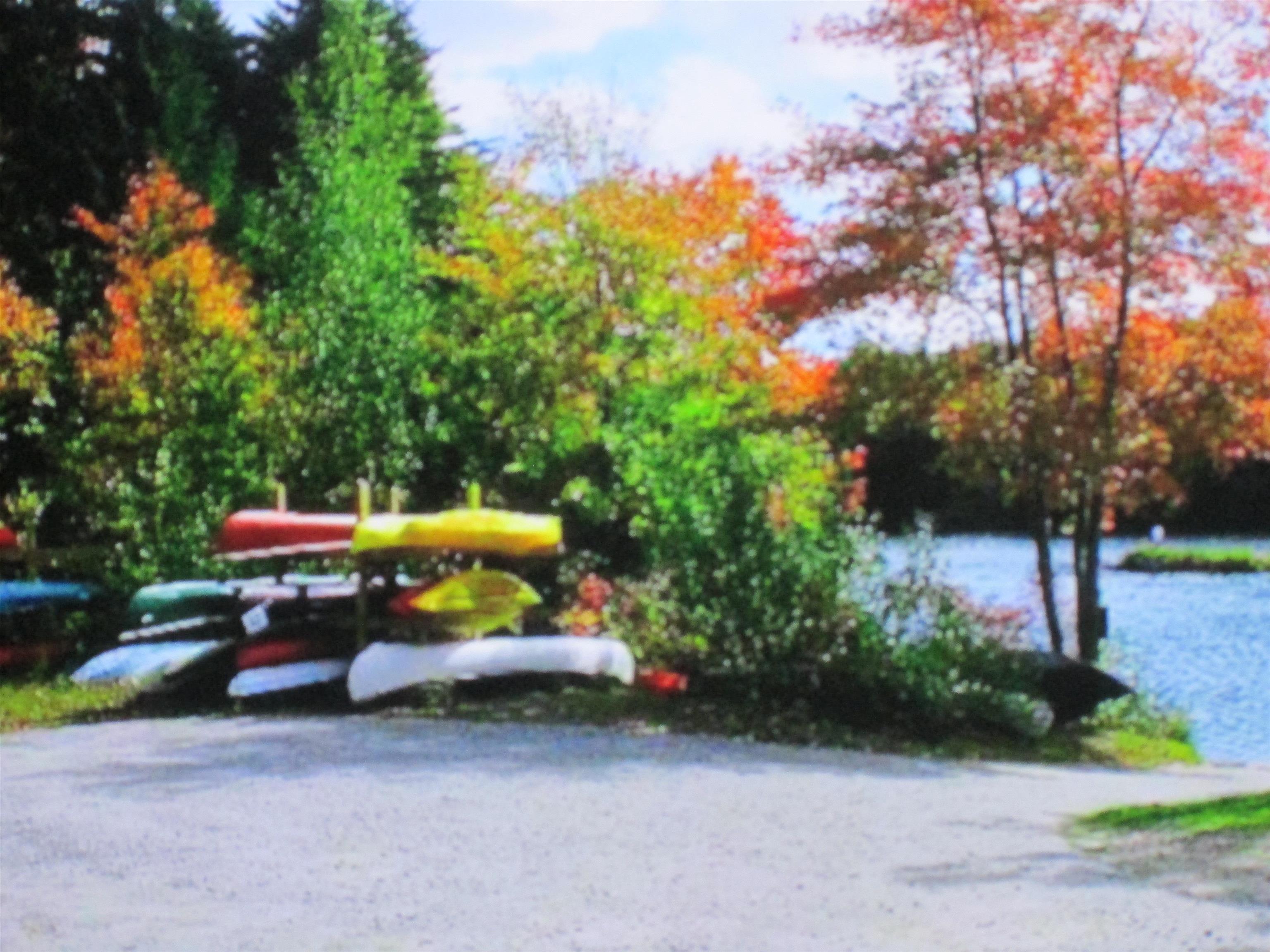 107-11.1 Wood Lot Lane