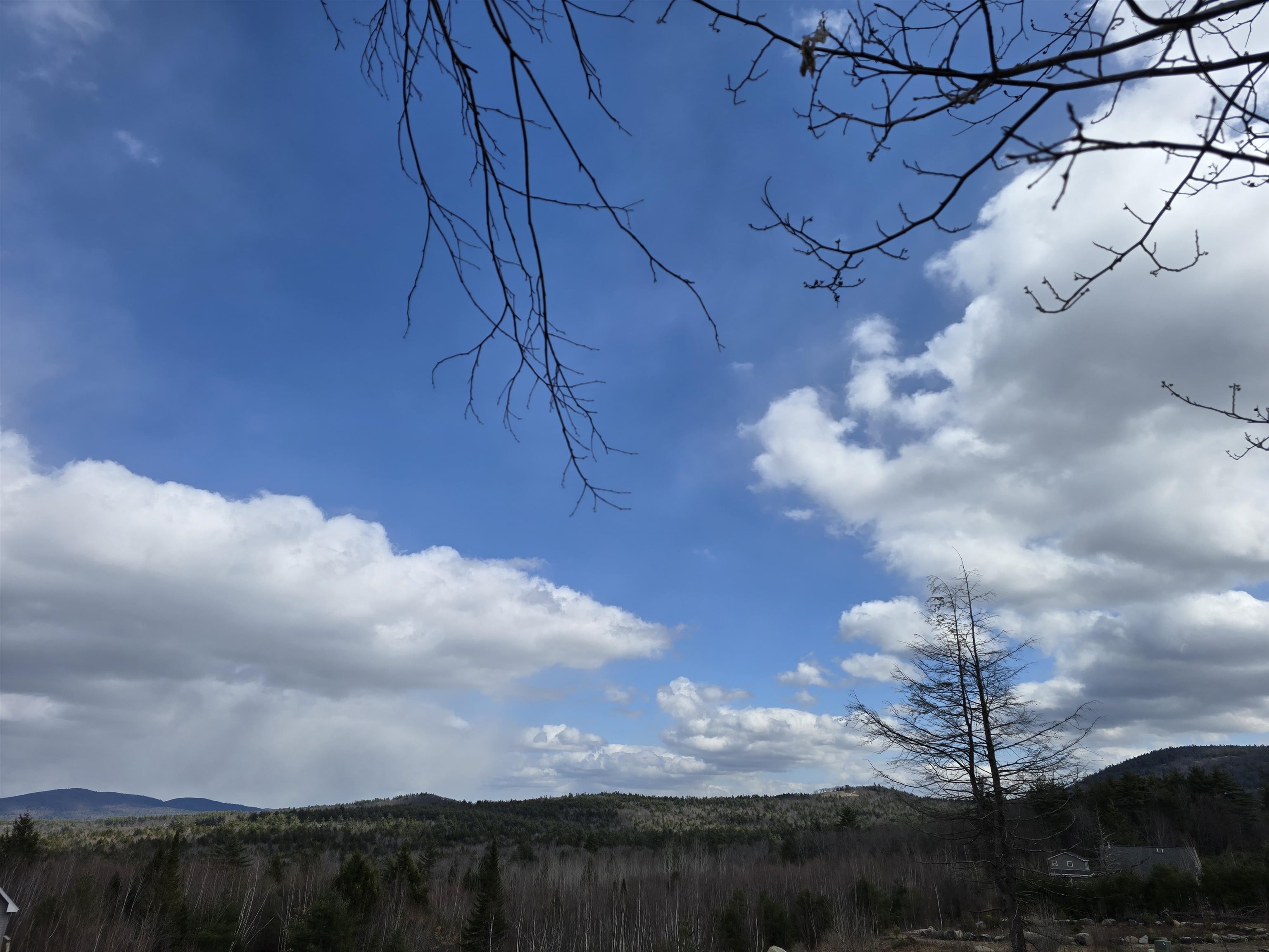 00 Skyline Way Lot #12