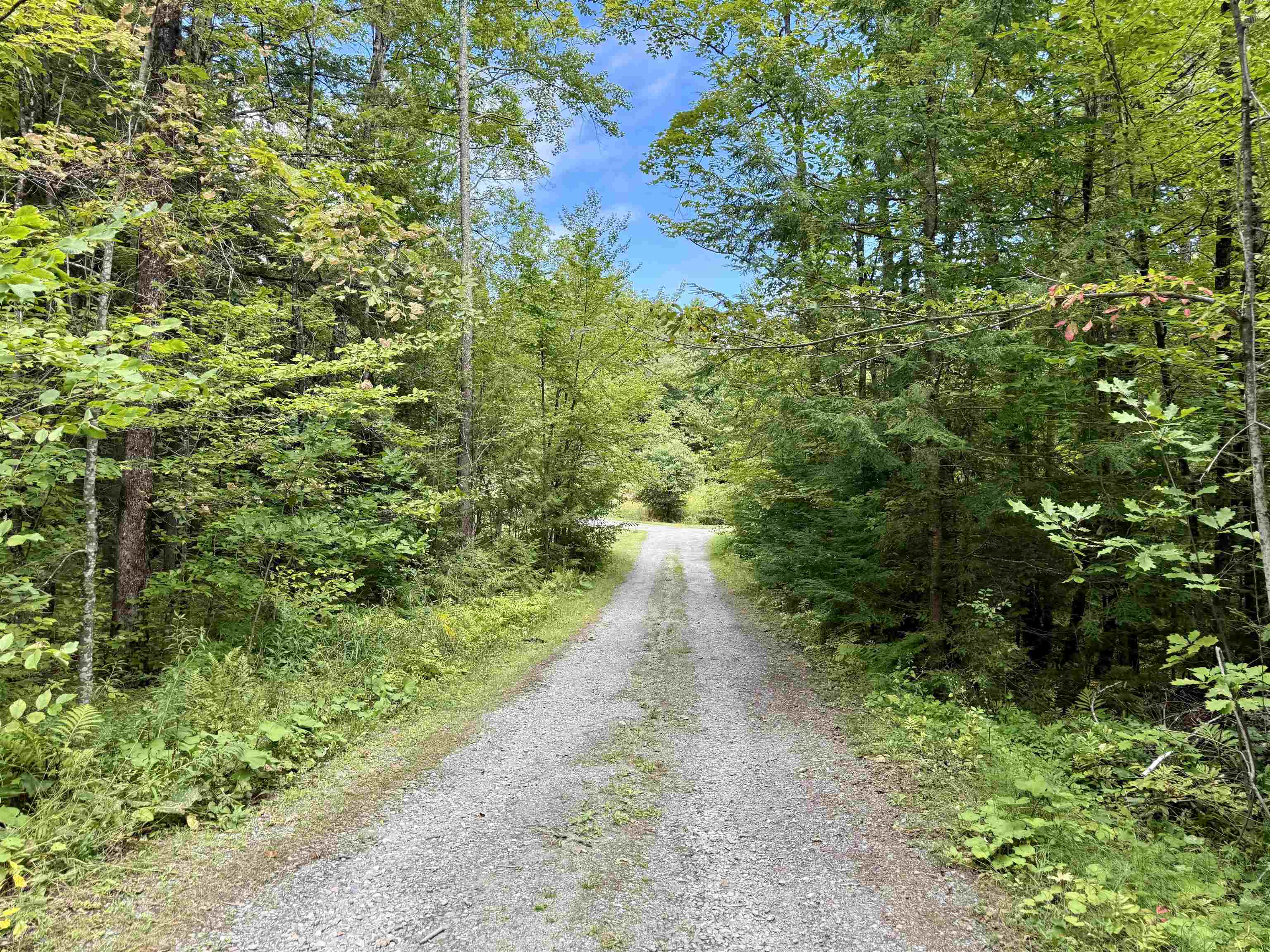 771 Woods Hollow Road