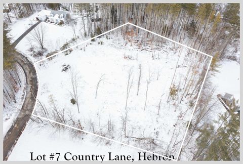 lot #7 Country Lane Hebron NH 03241