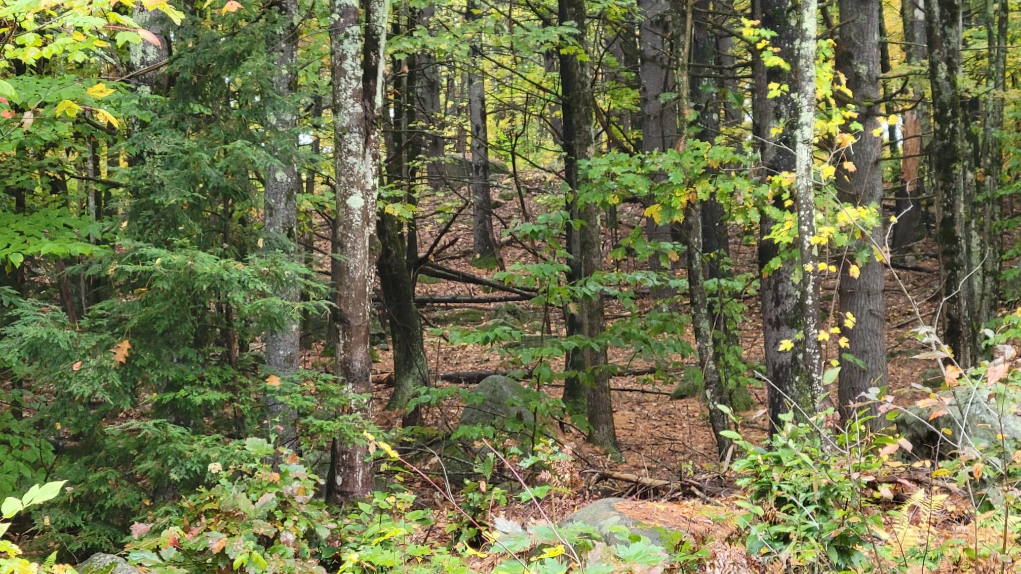 Weare, New Hampshire 03281, United States, ,Land,Pending,40041