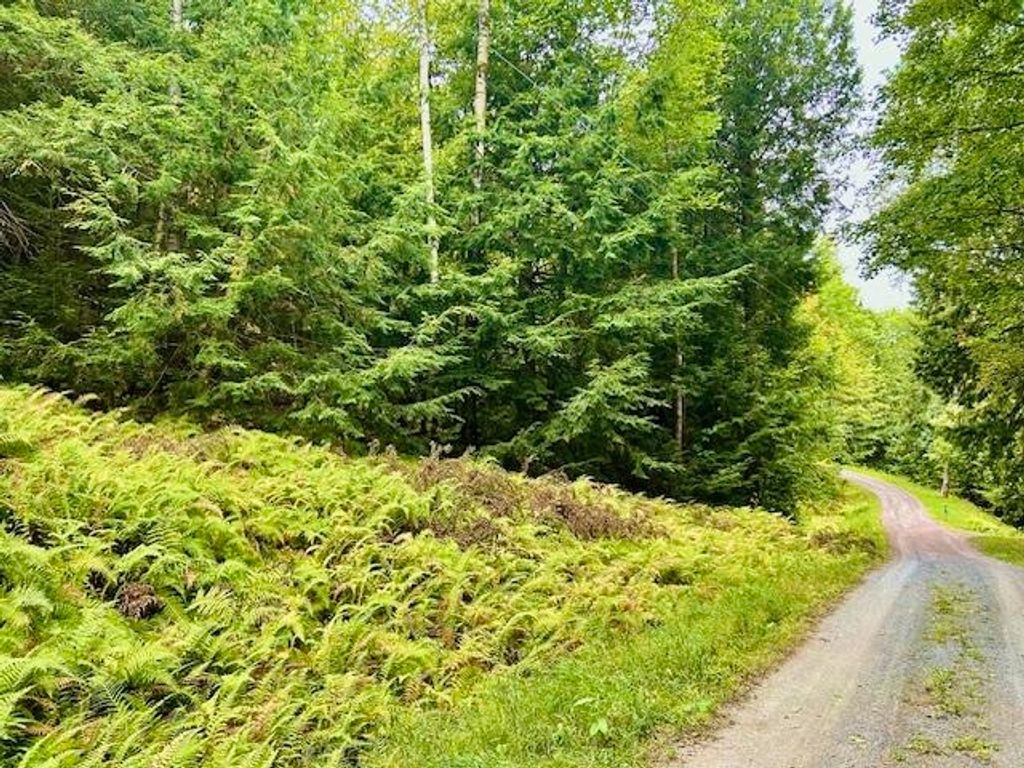 Photo of Longfellow Road #4, Haverhill, NH 03785 (MLS # 5058046)