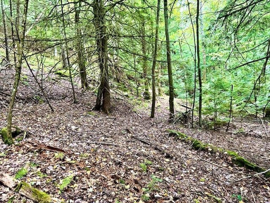 Photo of Longfellow Road #4, Haverhill, NH 03785 (MLS # 5058046)