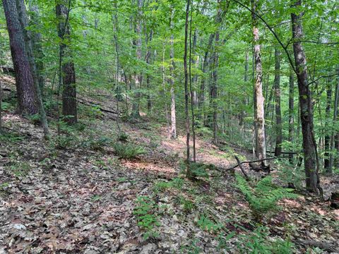 0 Ober Hill Road Townshend VT 05353