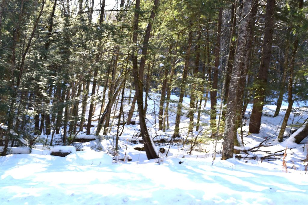 Photo of 14 Hanover Drive #14, Haverhill, NH 03765 (MLS # 5065788)