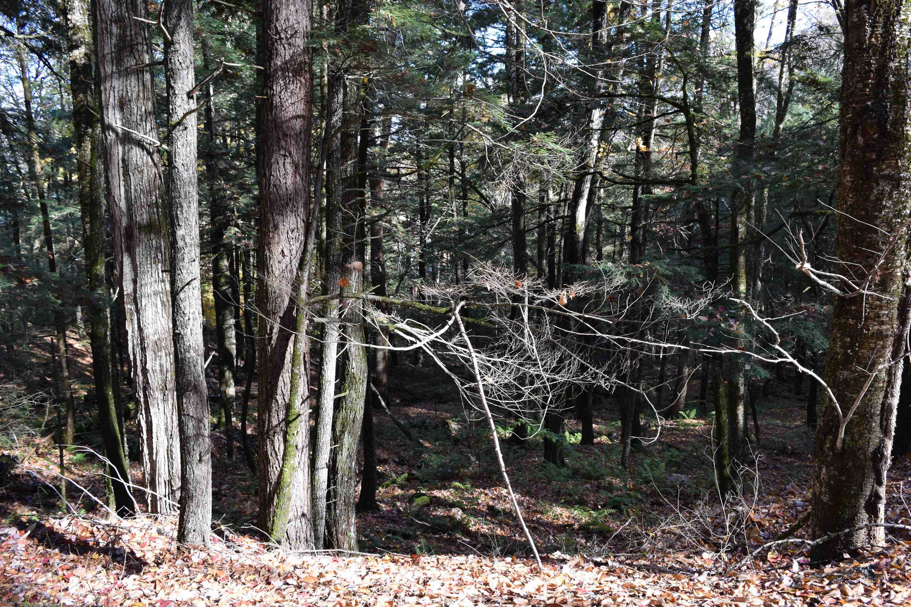 Lot 14 Hanover Drive 14