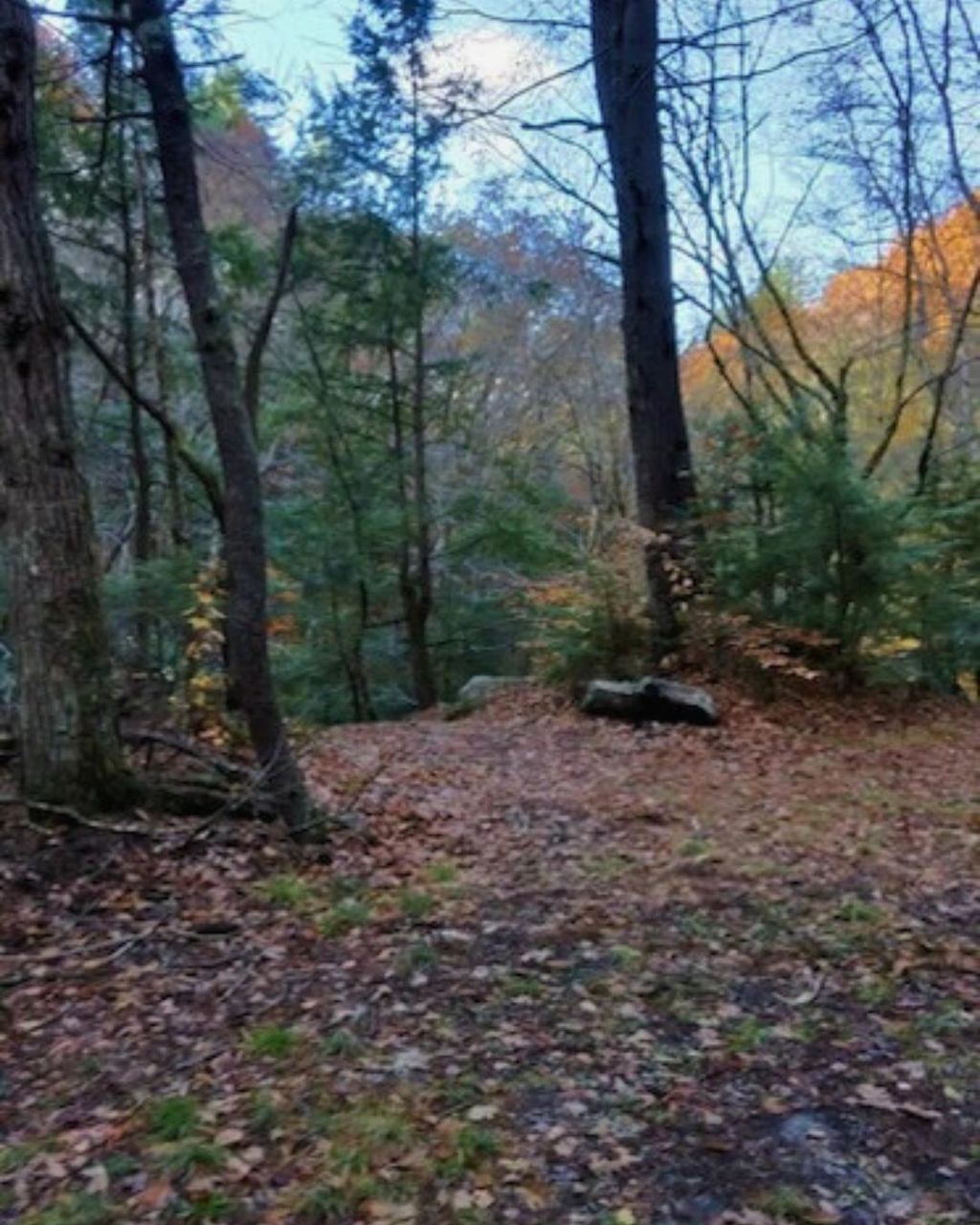 Photo of 00 Concord Road, Keene, NH 03431 (MLS # 5075469)