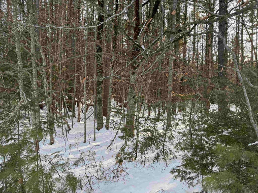 Photo of 00 Route 25 W, Tamworth, NH 03883 (MLS # 5071575)