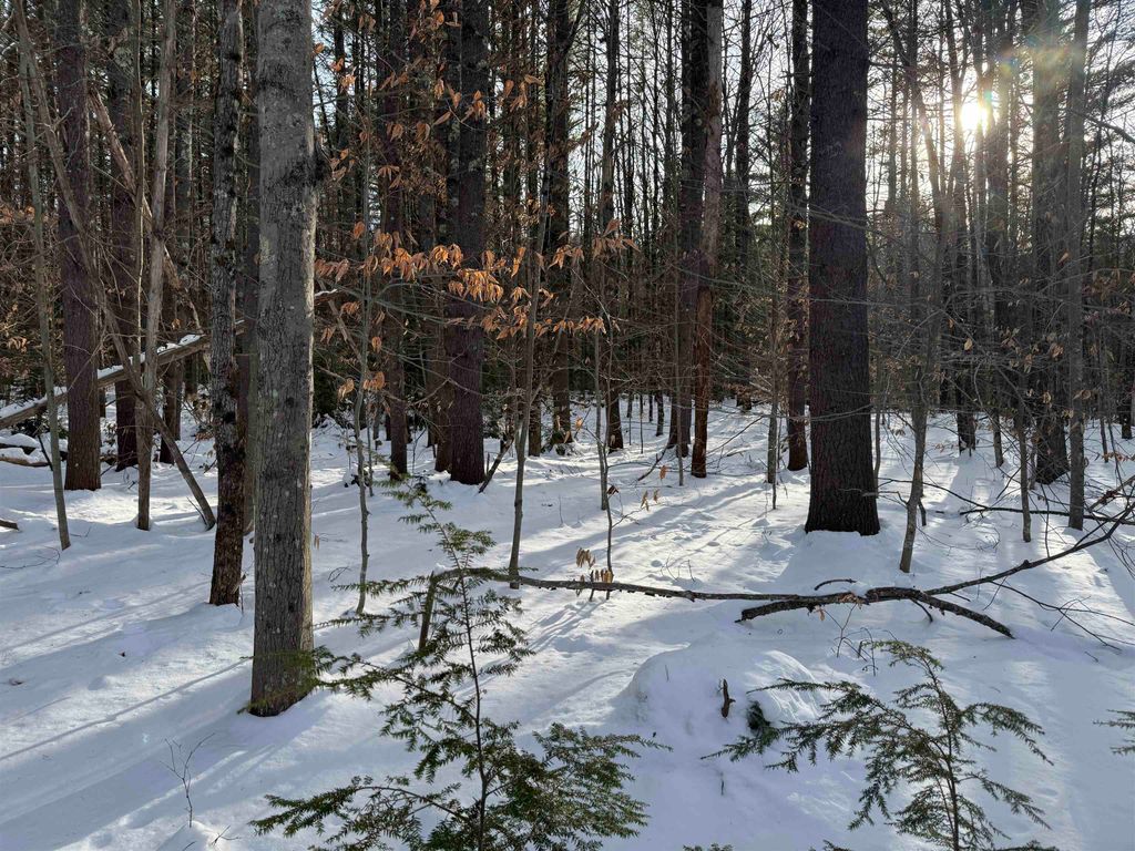 Photo of 00 Route 25 W, Tamworth, NH 03883 (MLS # 5071575)