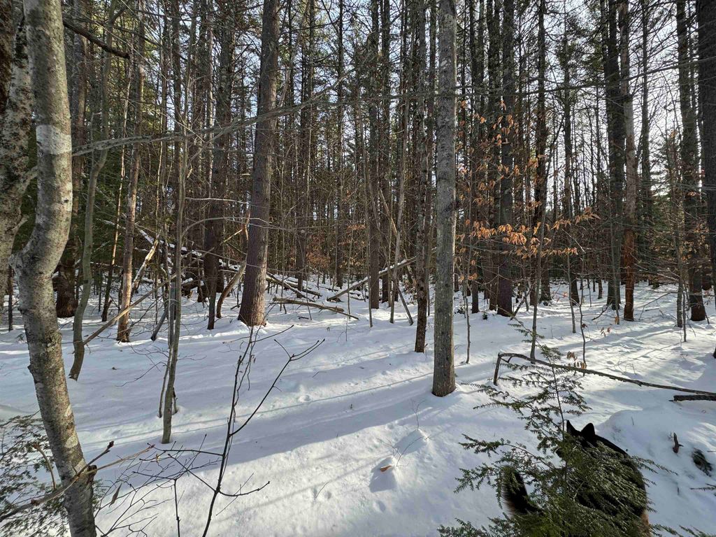 Photo of 00 Route 25 W, Tamworth, NH 03883 (MLS # 5071575)