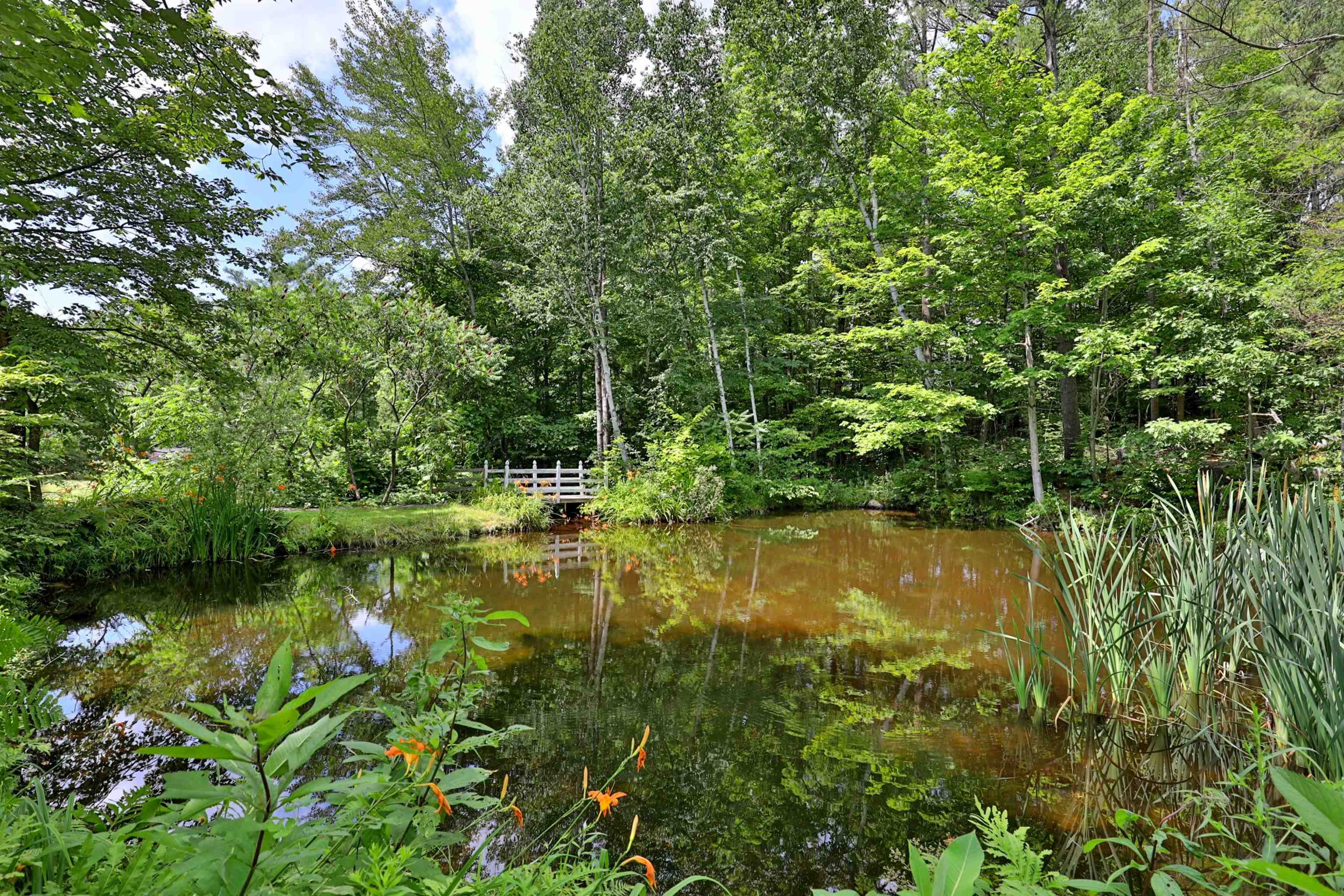 00 White Pine Hill 2