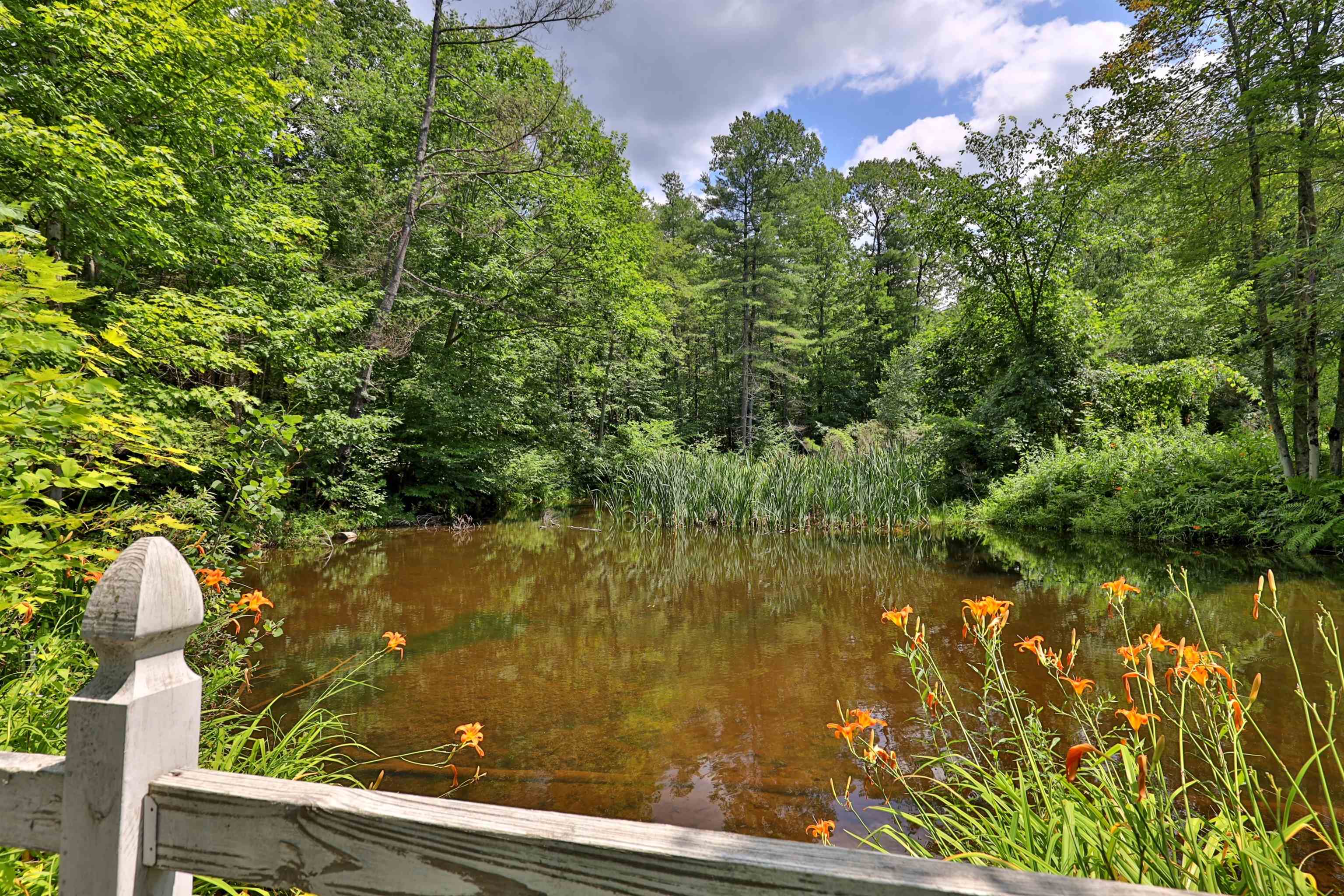 00 White Pine Hill 2