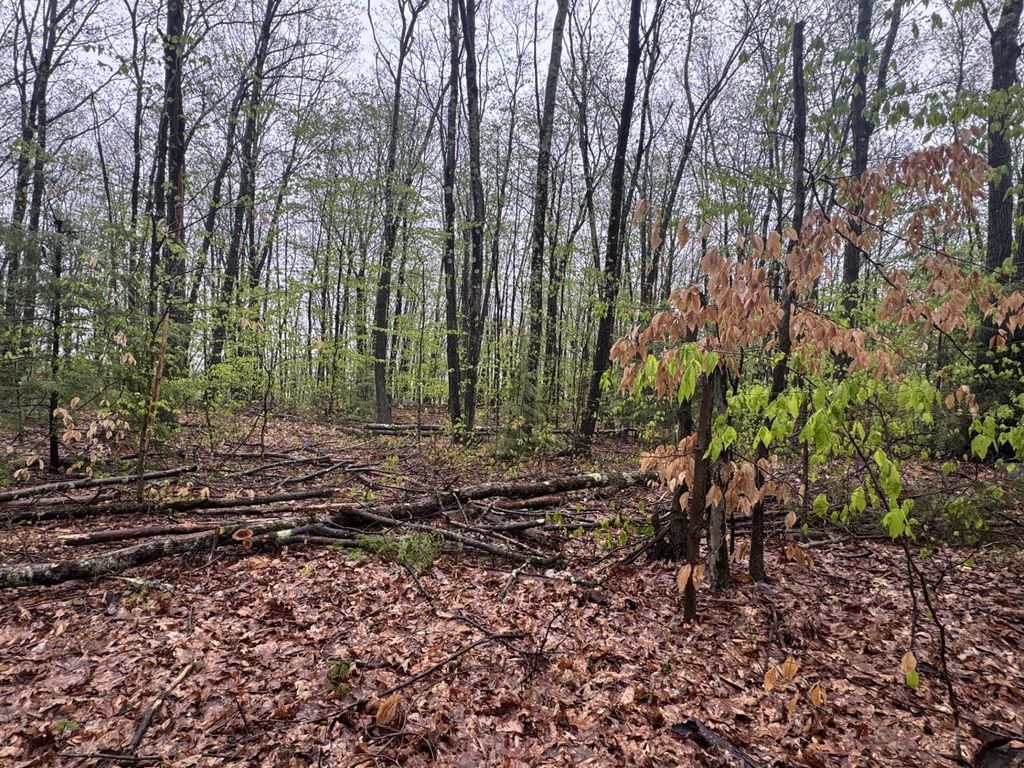 Photo of 0 Old Walpole/Valley View Road, Keene, NH 03431 (MLS # 5039440)