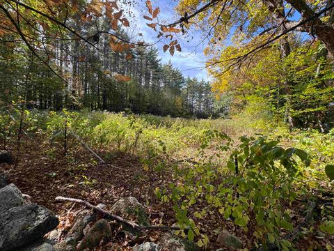 Tiny photo for 100 Antrim Road, Hancock, NH 03449 (MLS # 5063352)