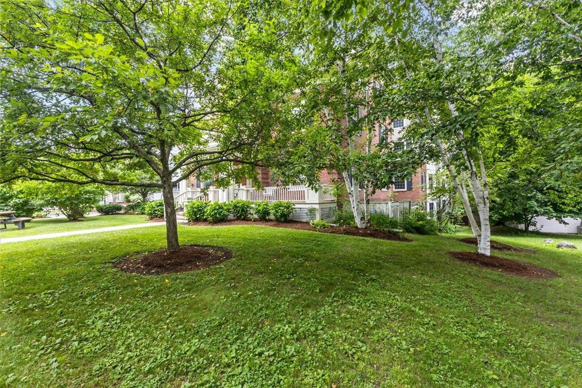 81 South Williams Street 203