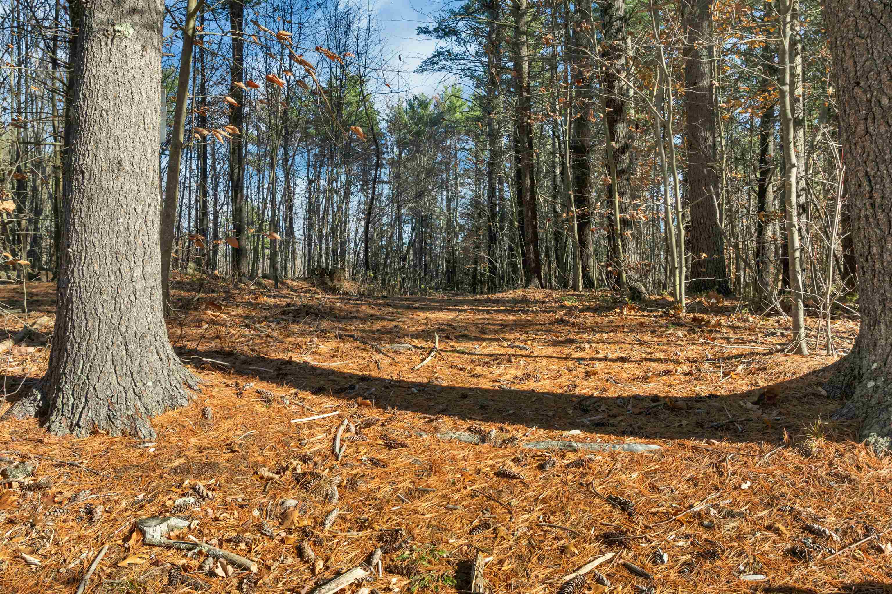 Bow, New Hampshire 03304, United States, ,Land,Active,248615