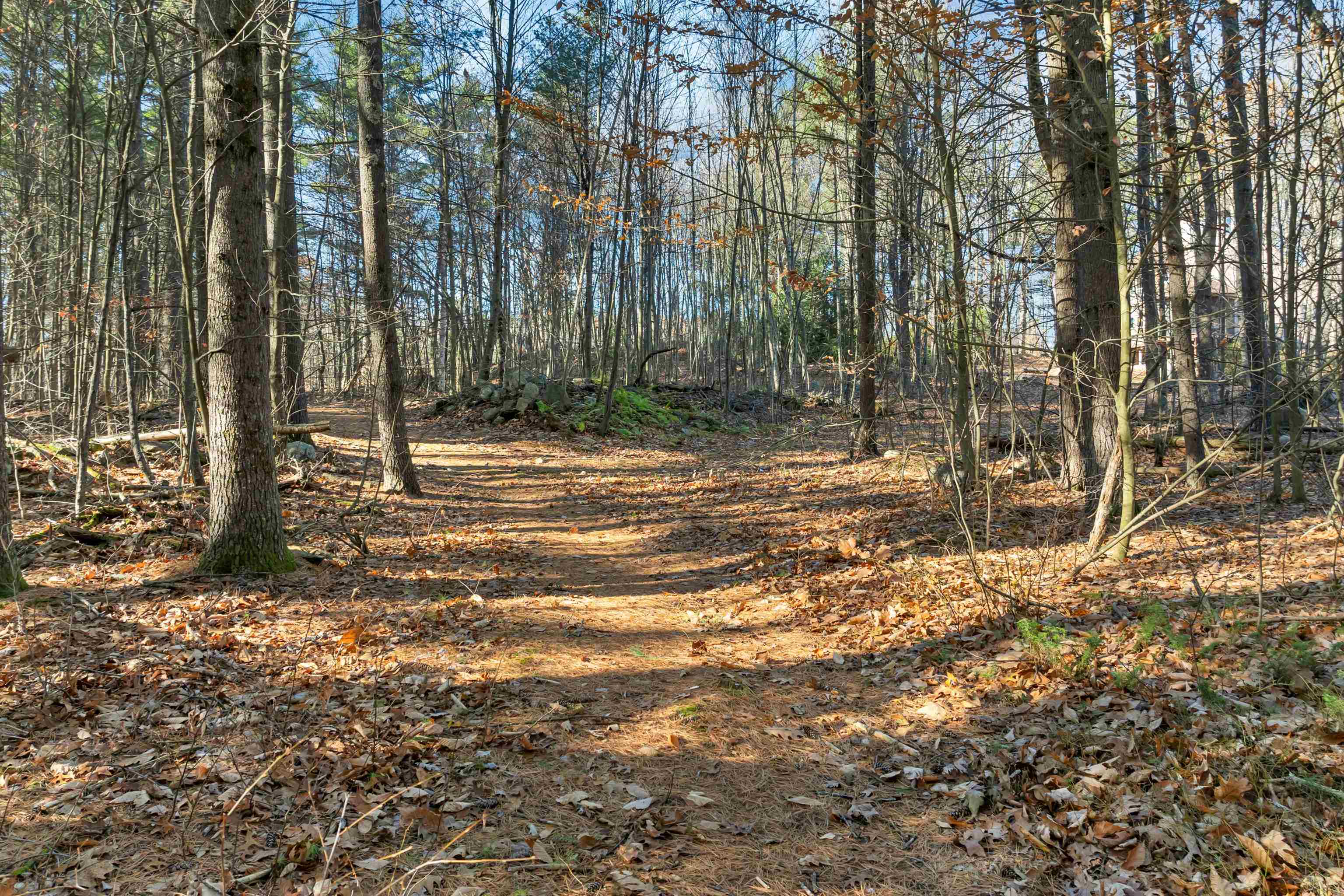 Bow, New Hampshire 03304, United States, ,Land,Active,248615