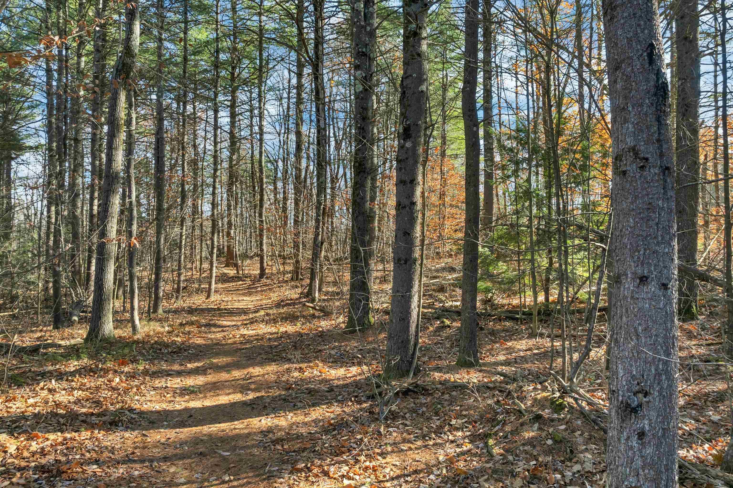 Bow, New Hampshire 03304, United States, ,Land,Active,248615