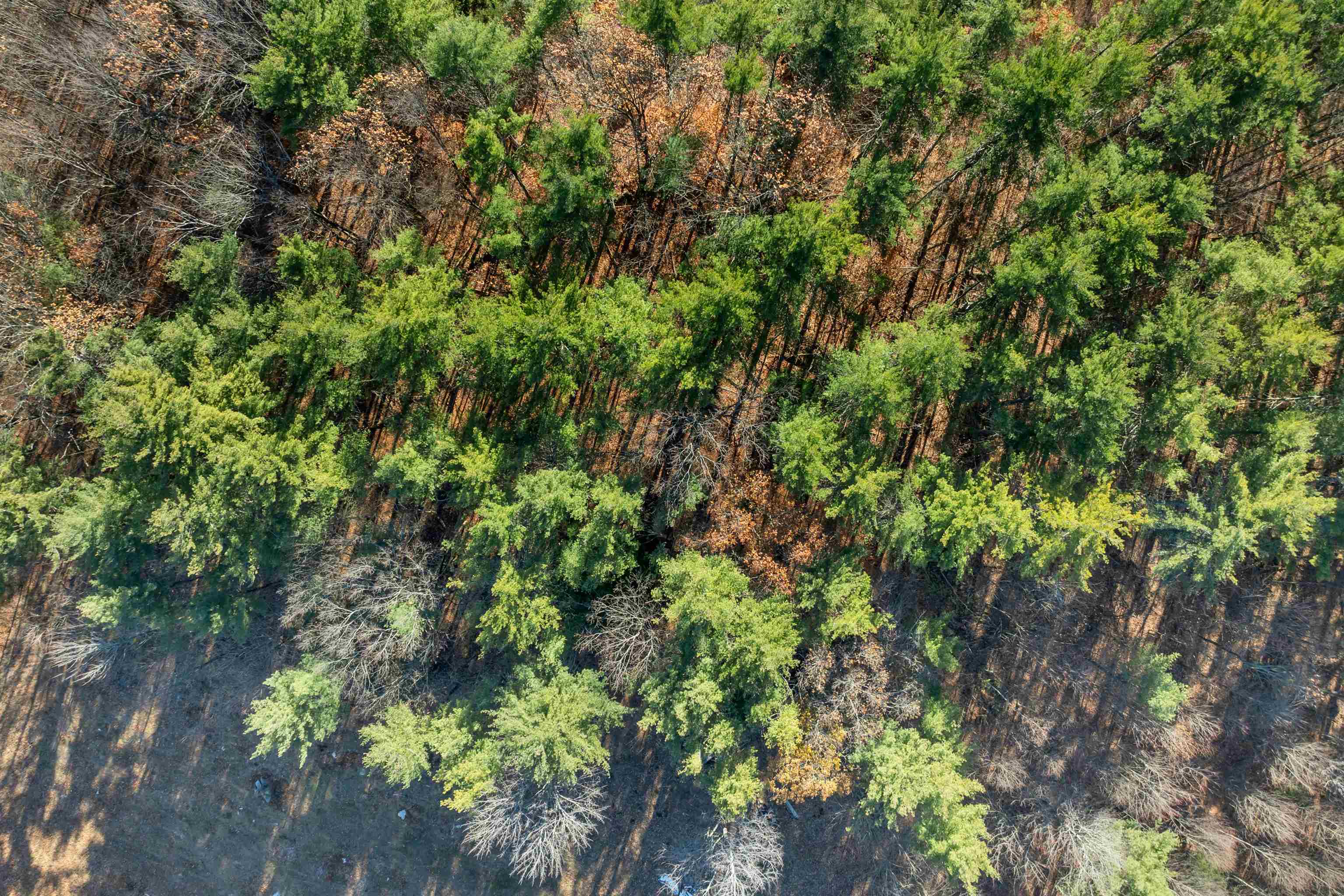 Bow, New Hampshire 03304, United States, ,Land,Active,248615