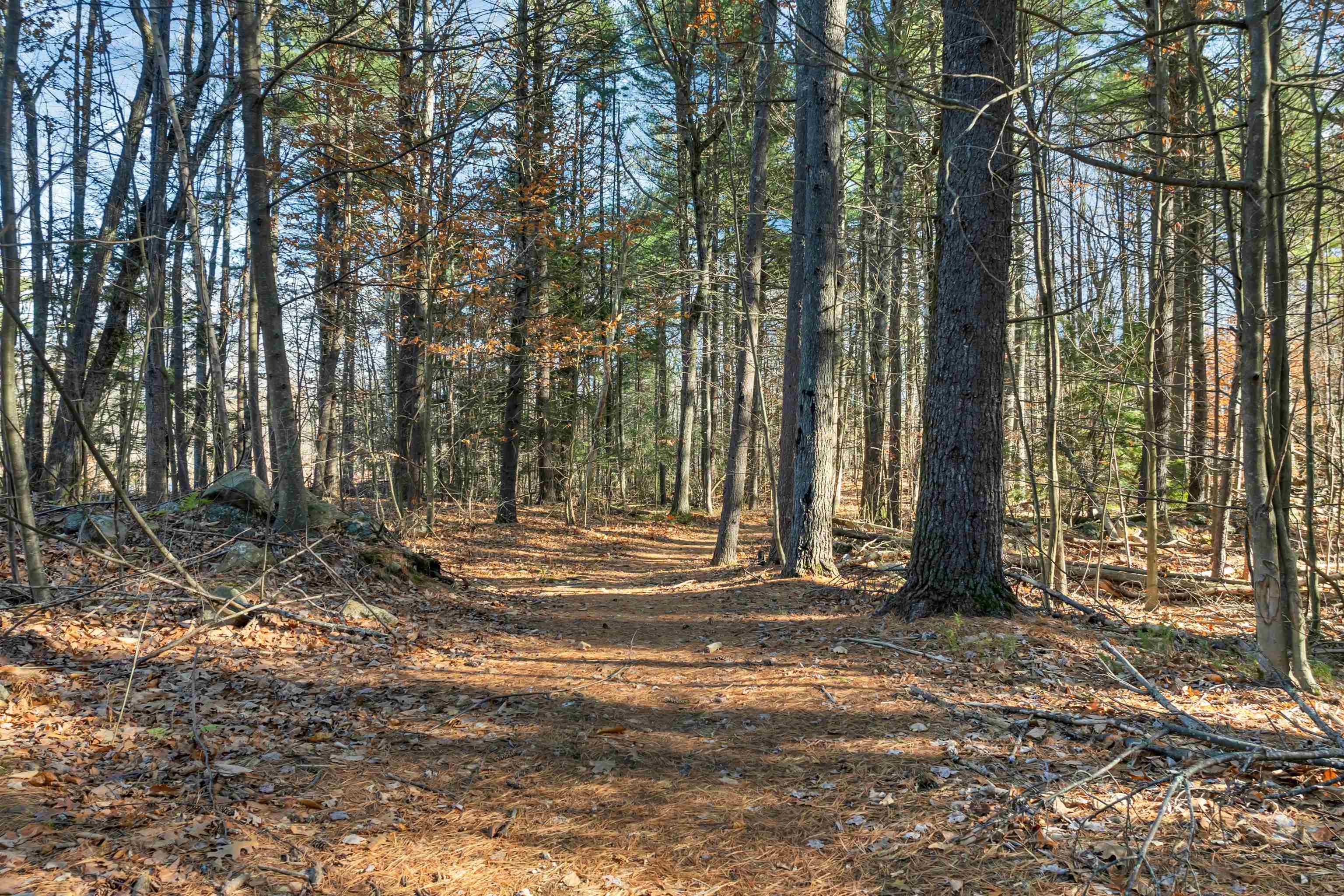 Bow, New Hampshire 03304, United States, ,Land,Active,248615