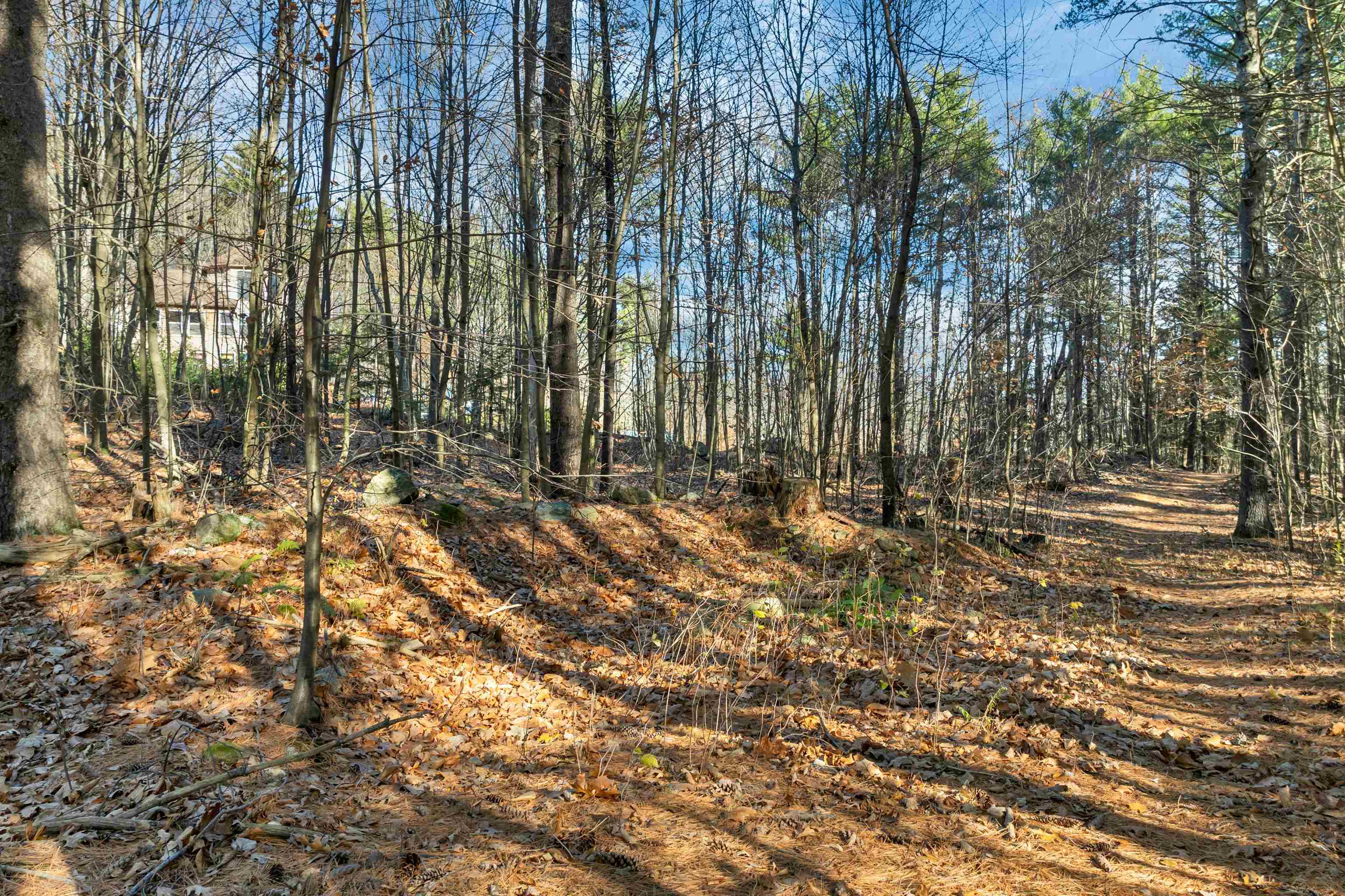 Bow, New Hampshire 03304, United States, ,Land,Active,248615