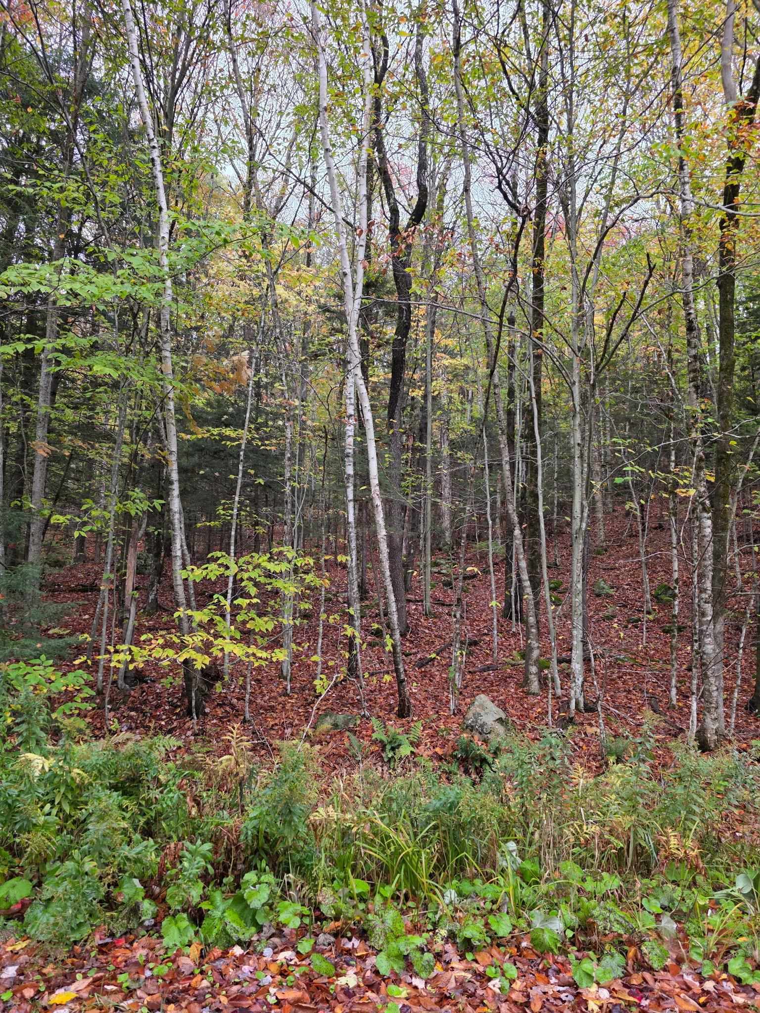 00 Heartwellville View Road 64/65/66/69/70