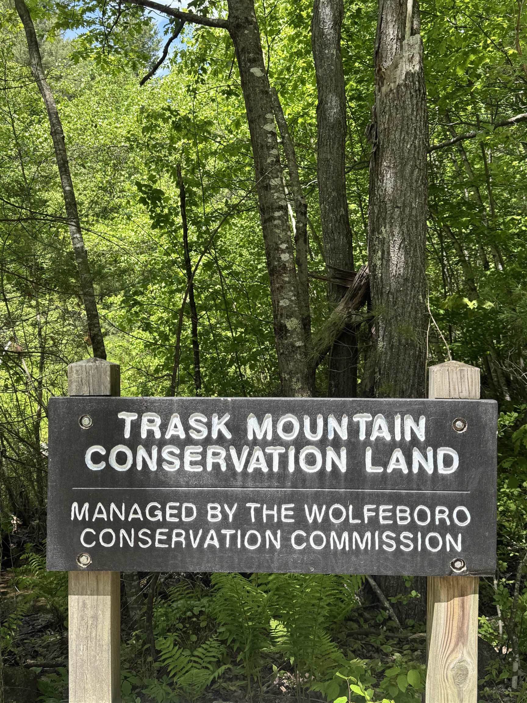 0 Trask Mountain Road 1 & 2