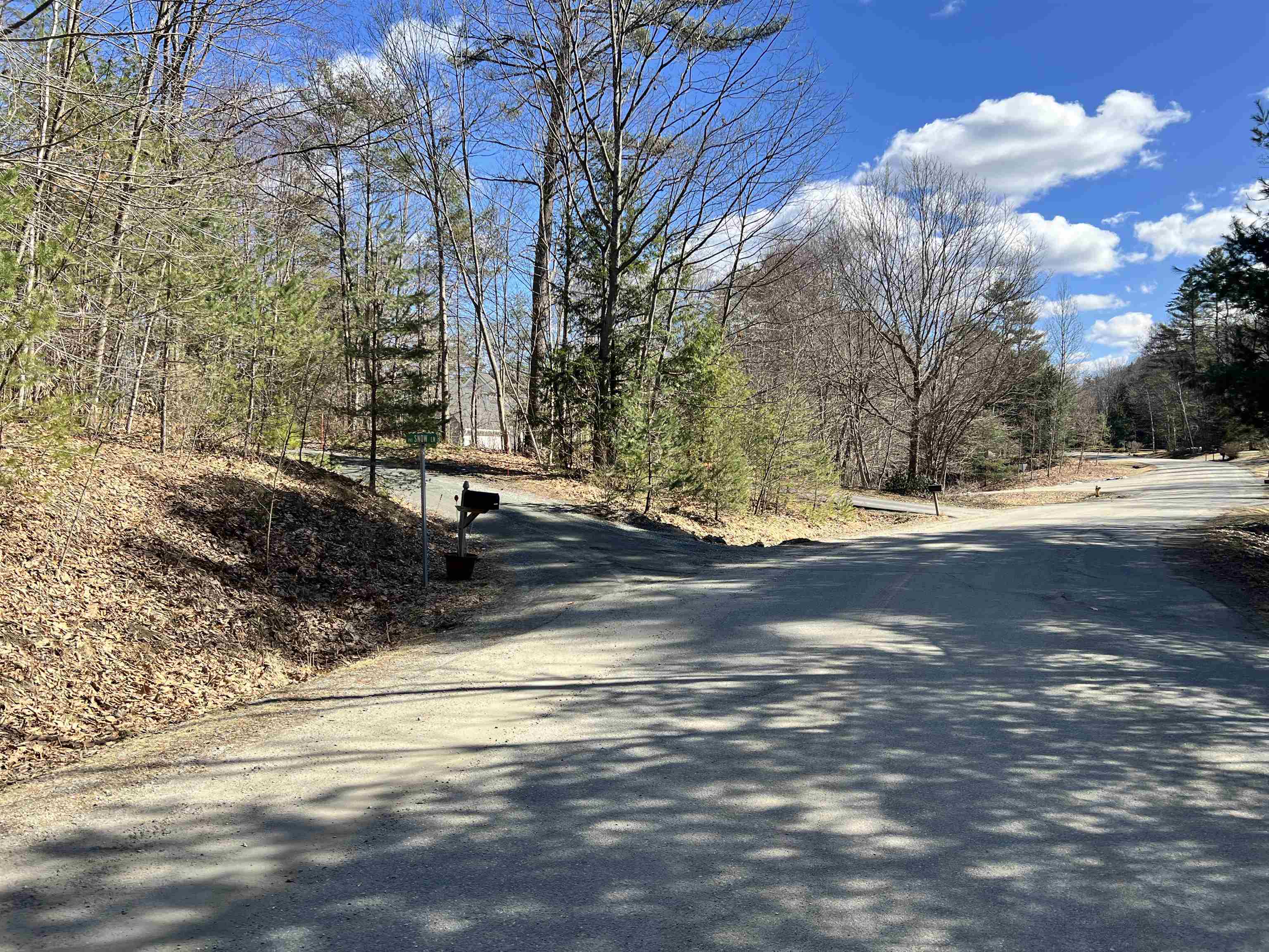 00 Snow Lane Lot #2 & #3