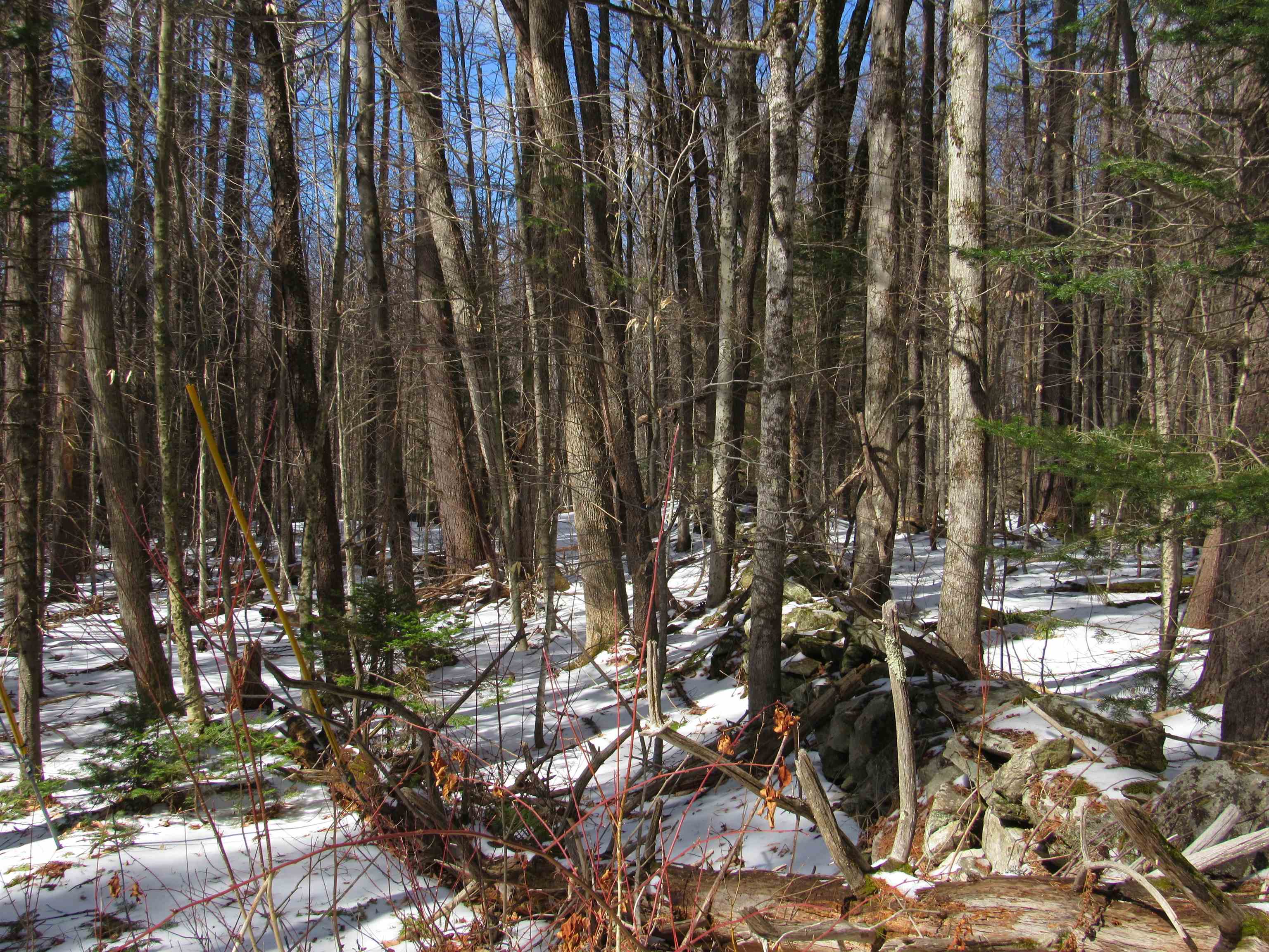 1192 Haven Hill Road Lot A1