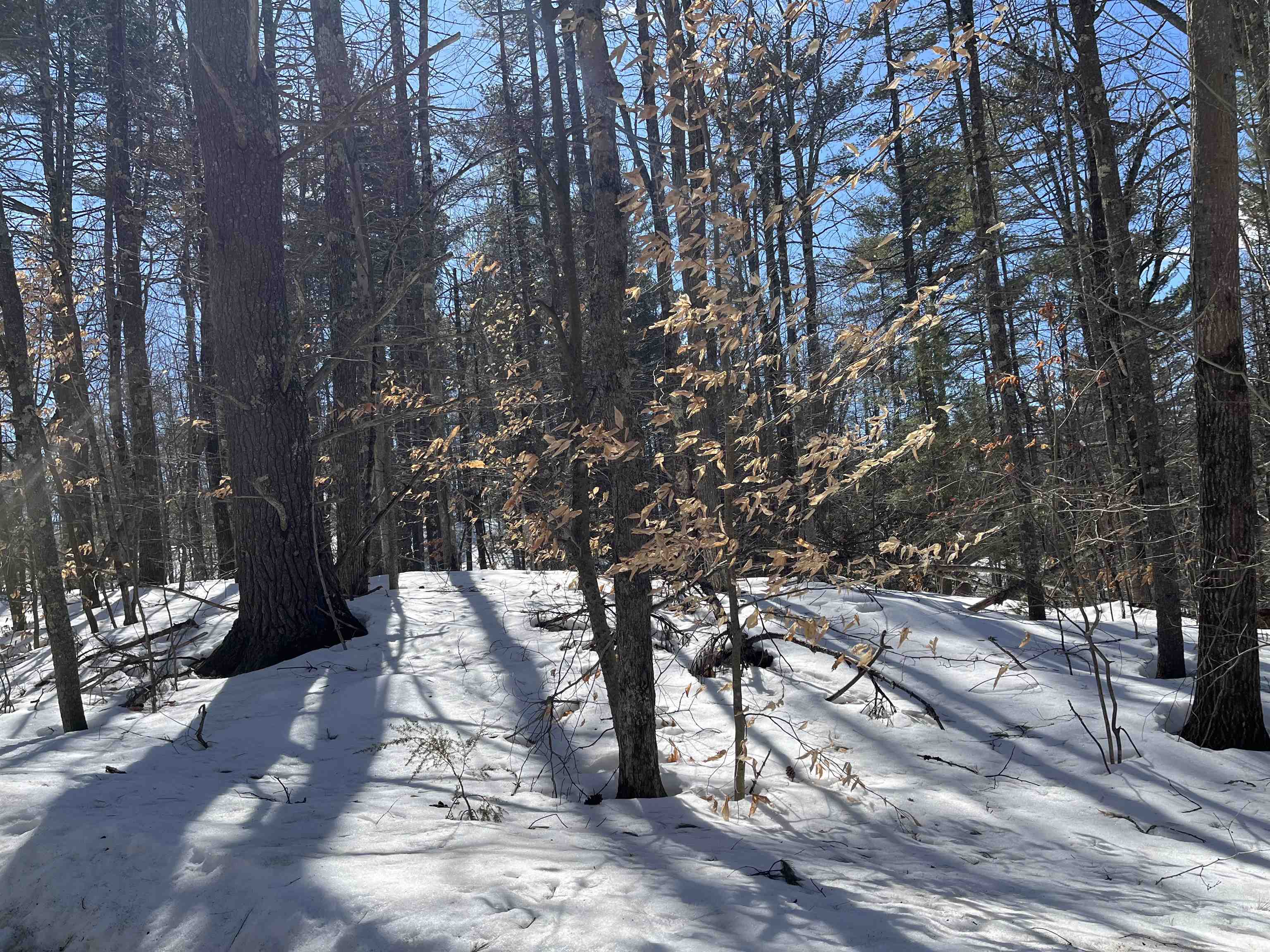 lot 37 David Drive