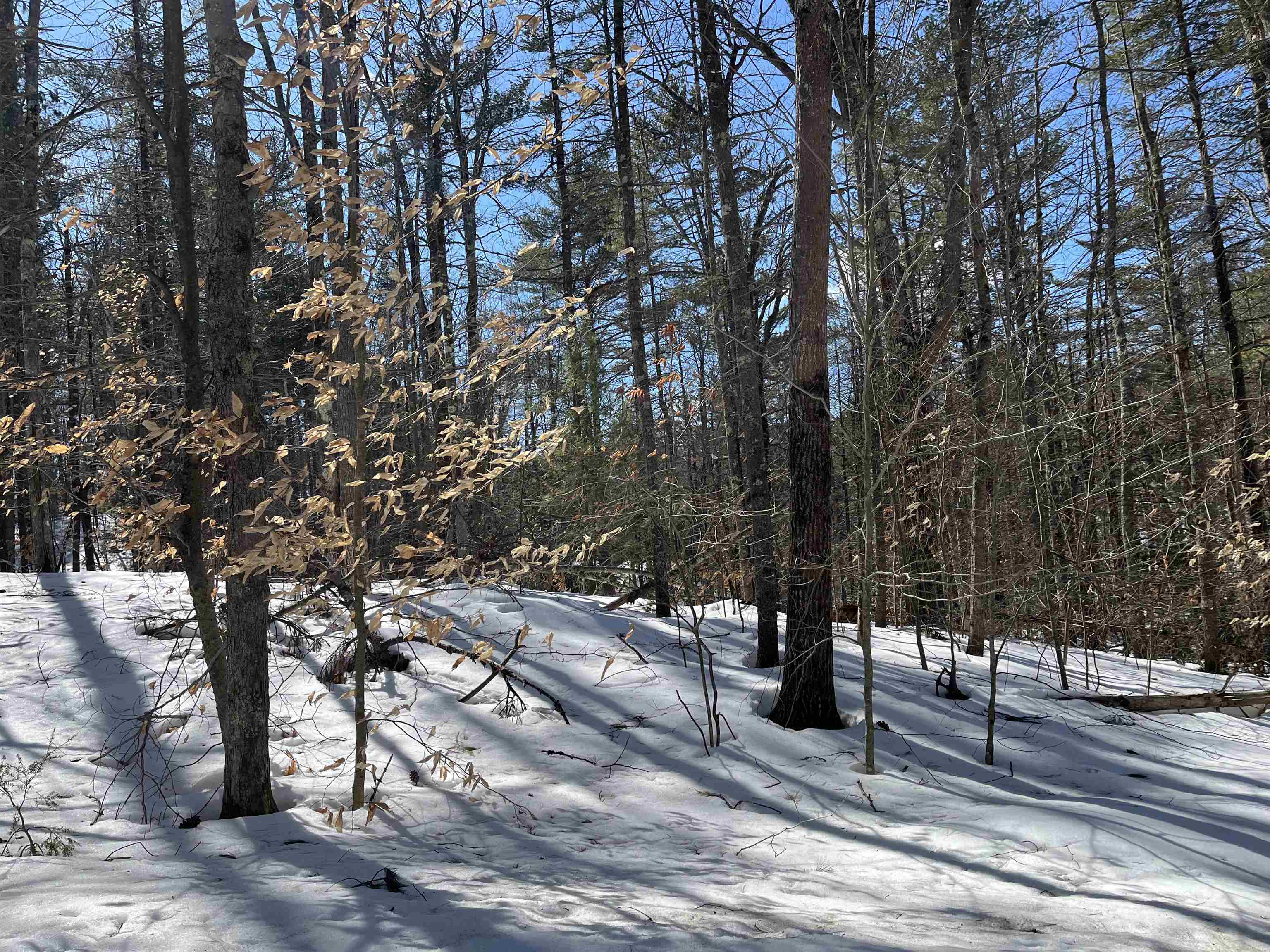 lot 37 David Drive