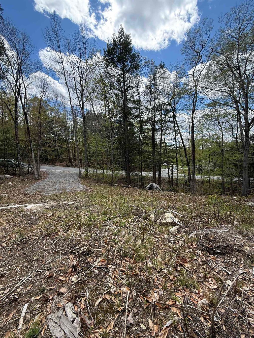 Photo of 104 Ramblewood Circle, Newbury, NH 03255 (MLS # 5088687)