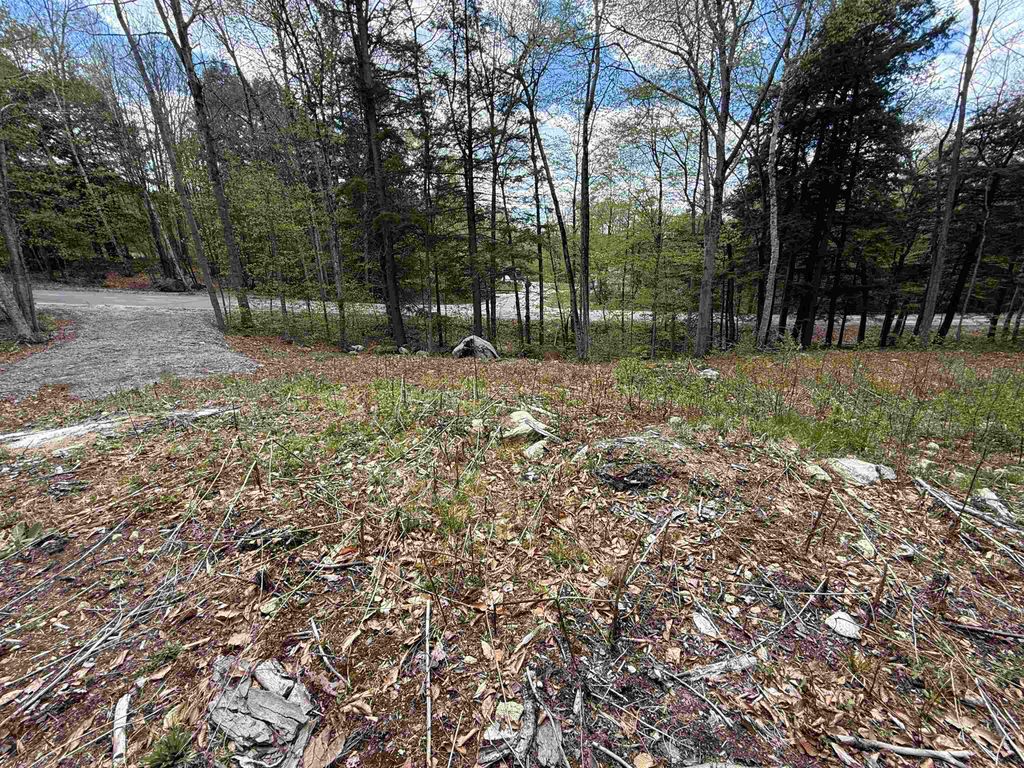 Photo of 104 Ramblewood Circle, Newbury, NH 03255 (MLS # 5088687)