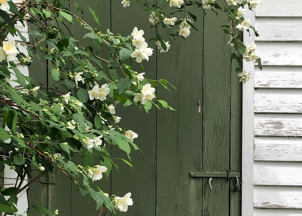 Photo of 1 Hop Kiln Road, Bow, NH 03304 (MLS # 5065398)