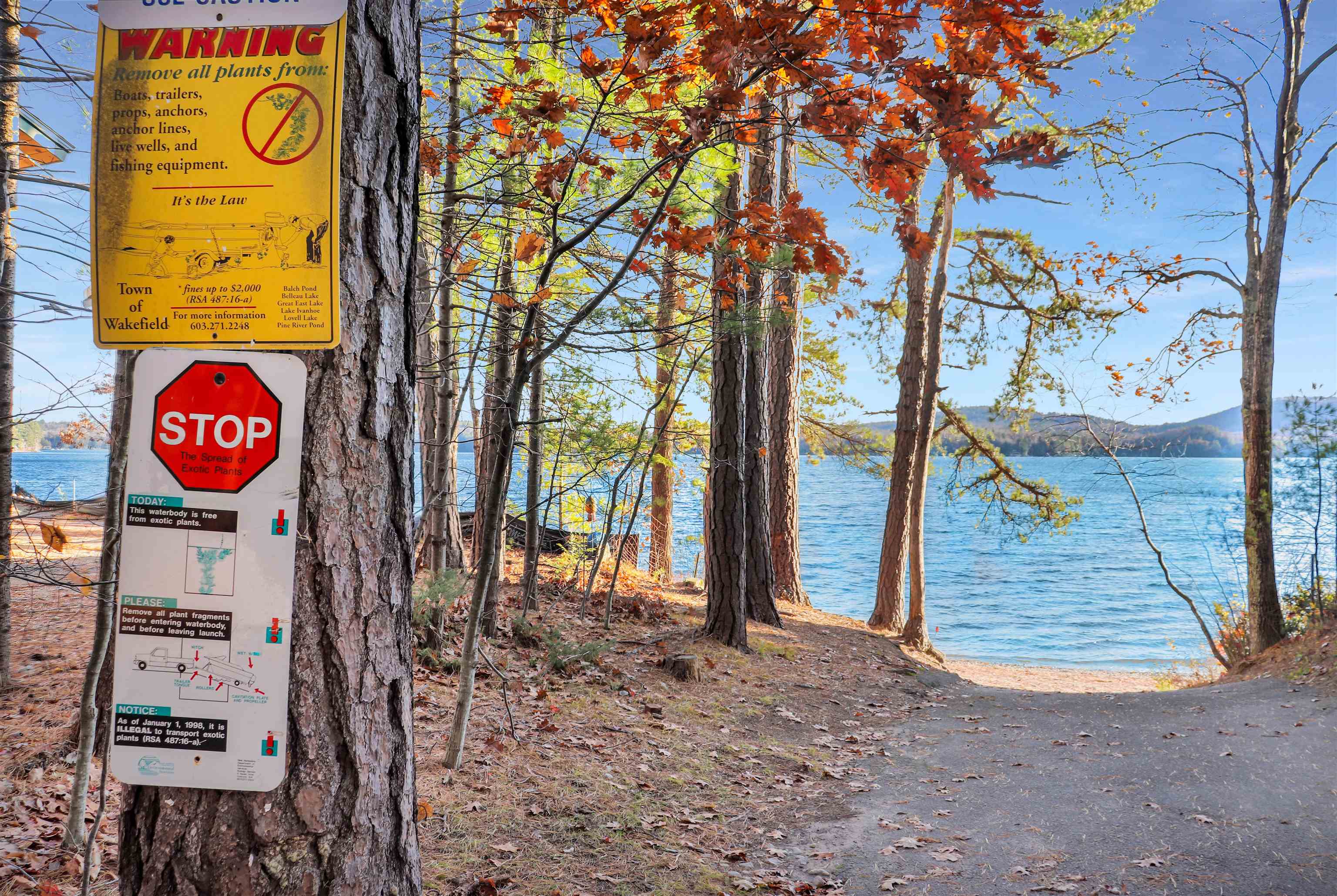 Wakefield, New Hampshire 03830, United States, 3 Bedrooms Bedrooms, ,2 BathroomsBathrooms,Residential,Pending,78549