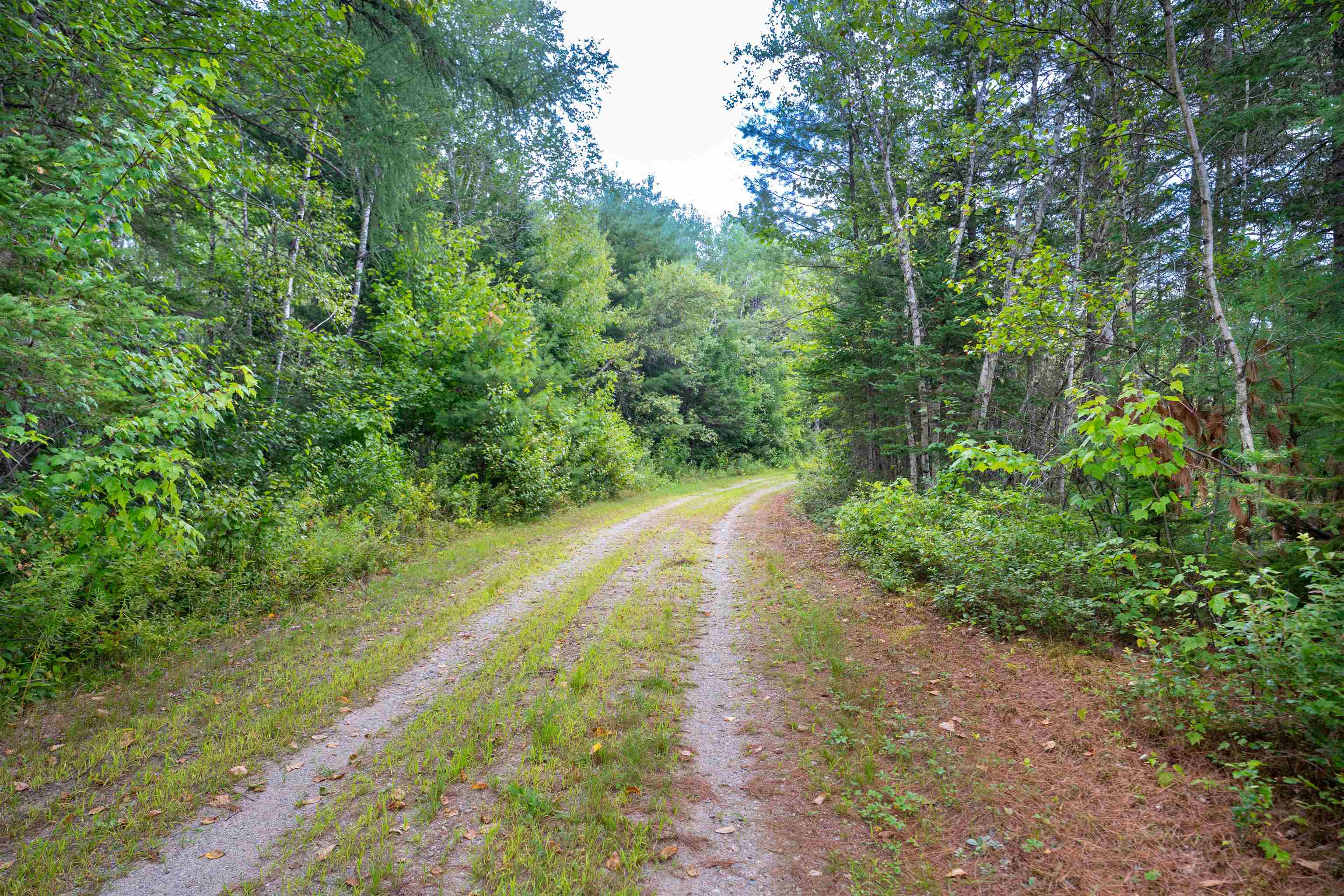 00 Boise Cascade Road