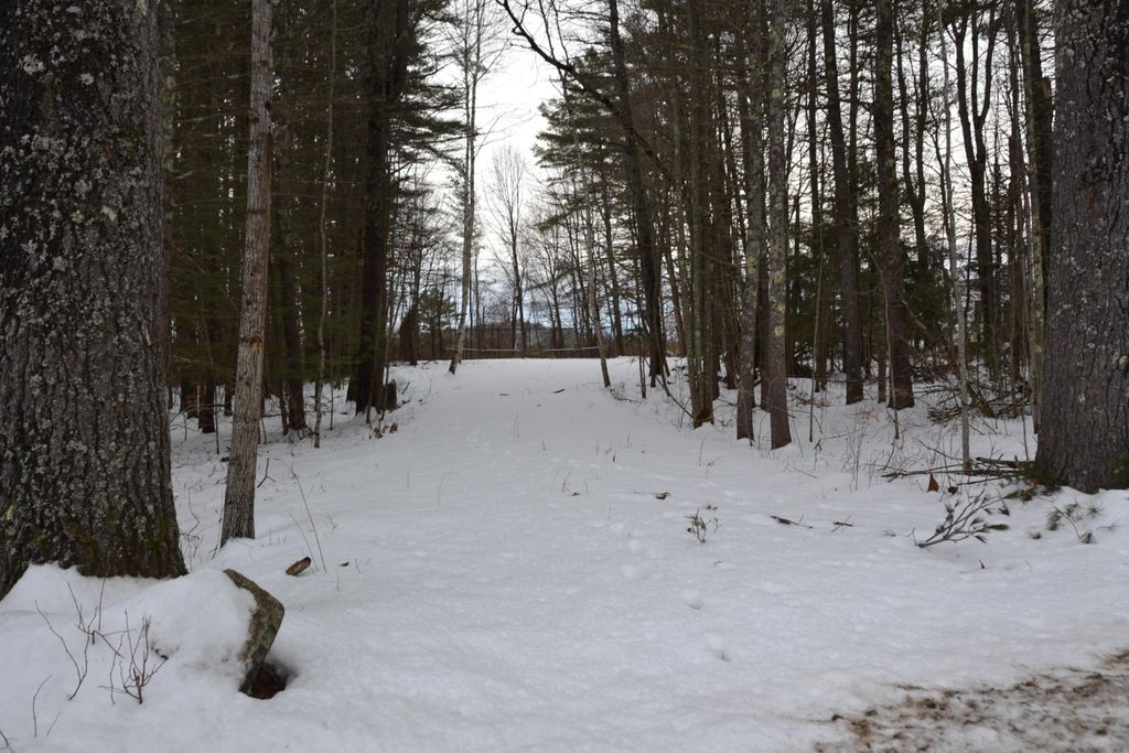 Photo of 38 Sodom Road, Tuftonboro, NH 03816 (MLS # 5080096)