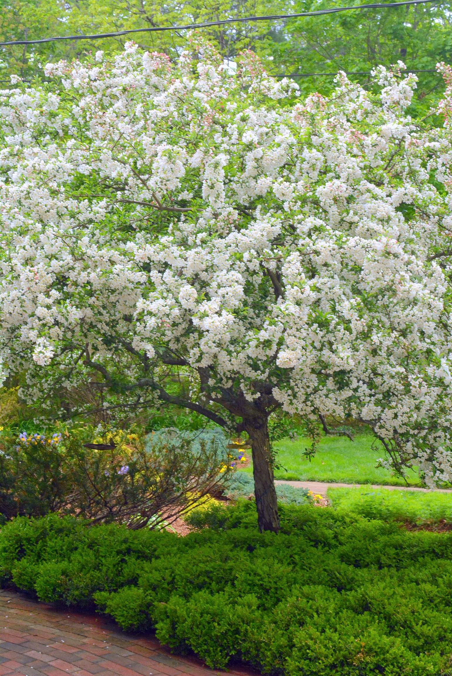 81 Little River Road