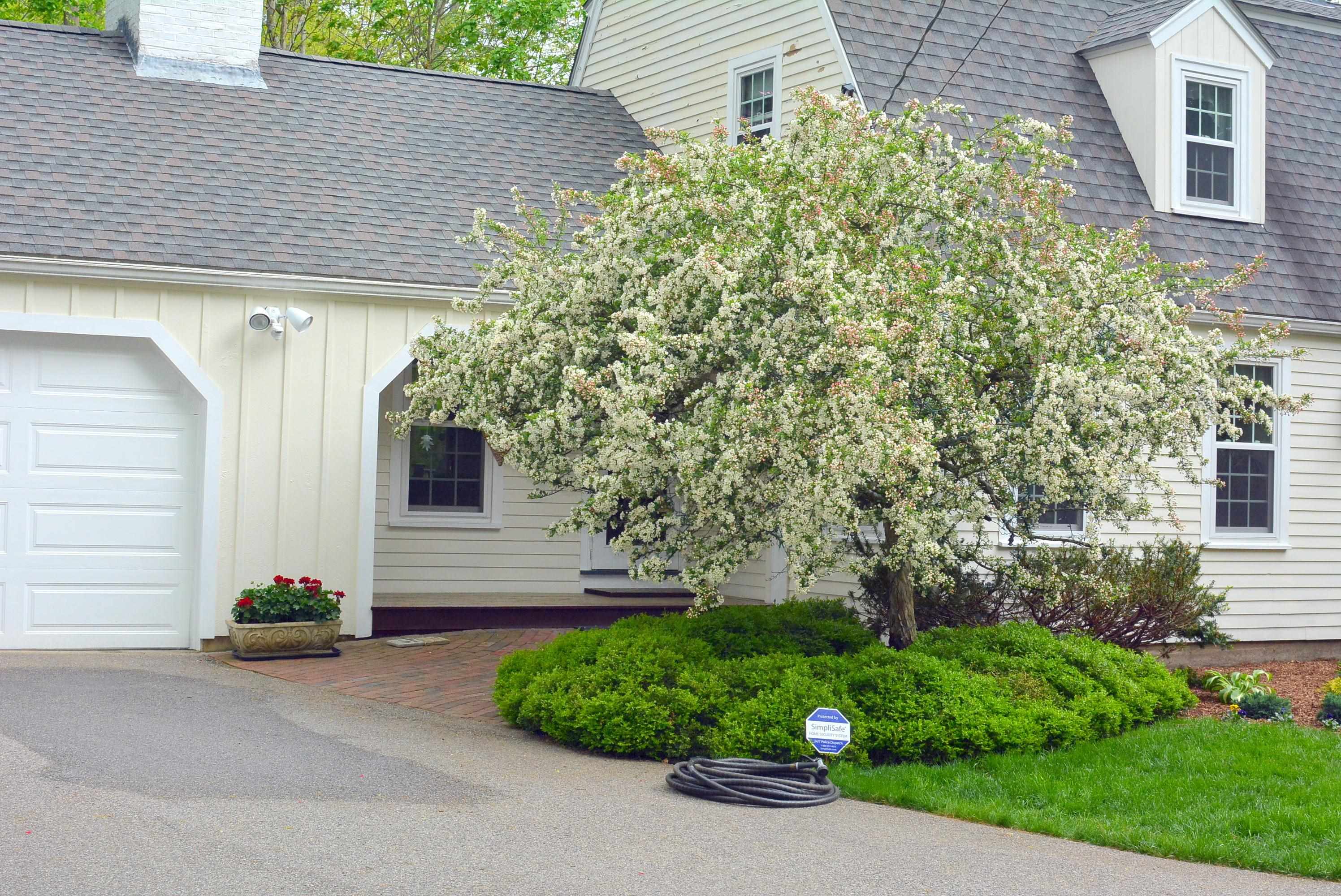 81 Little River Road