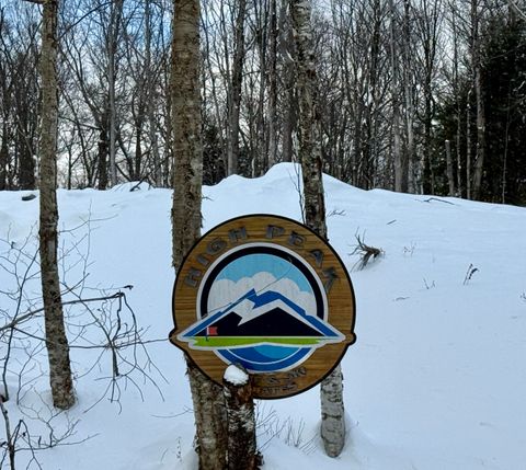 Lot 1 - 161 High Peak Way Wilmington VT 05363